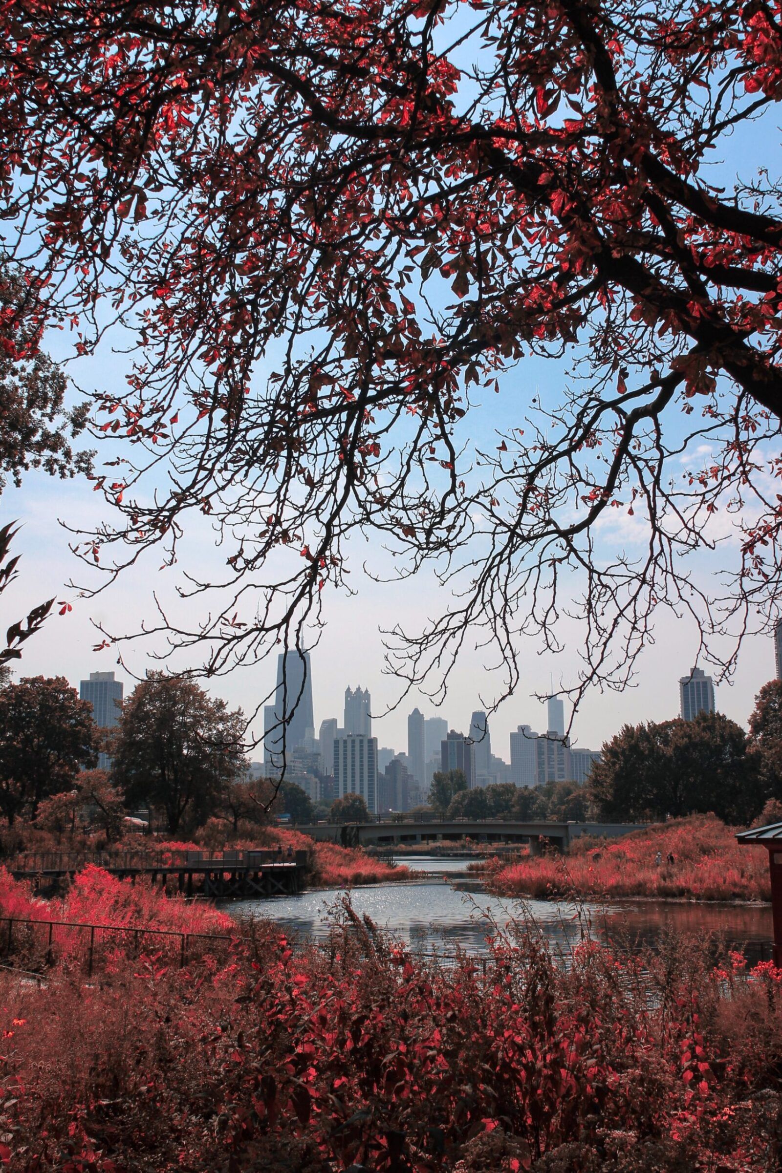 1600x2401 What's Open in Chicago: Phase Four. Downtown Apartment Collective