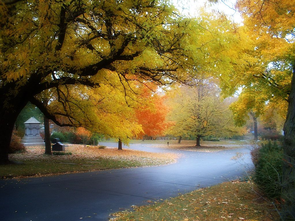 1024x768 Graceland Cemetery, Chicago, IL. A beautiful fall day at Gr