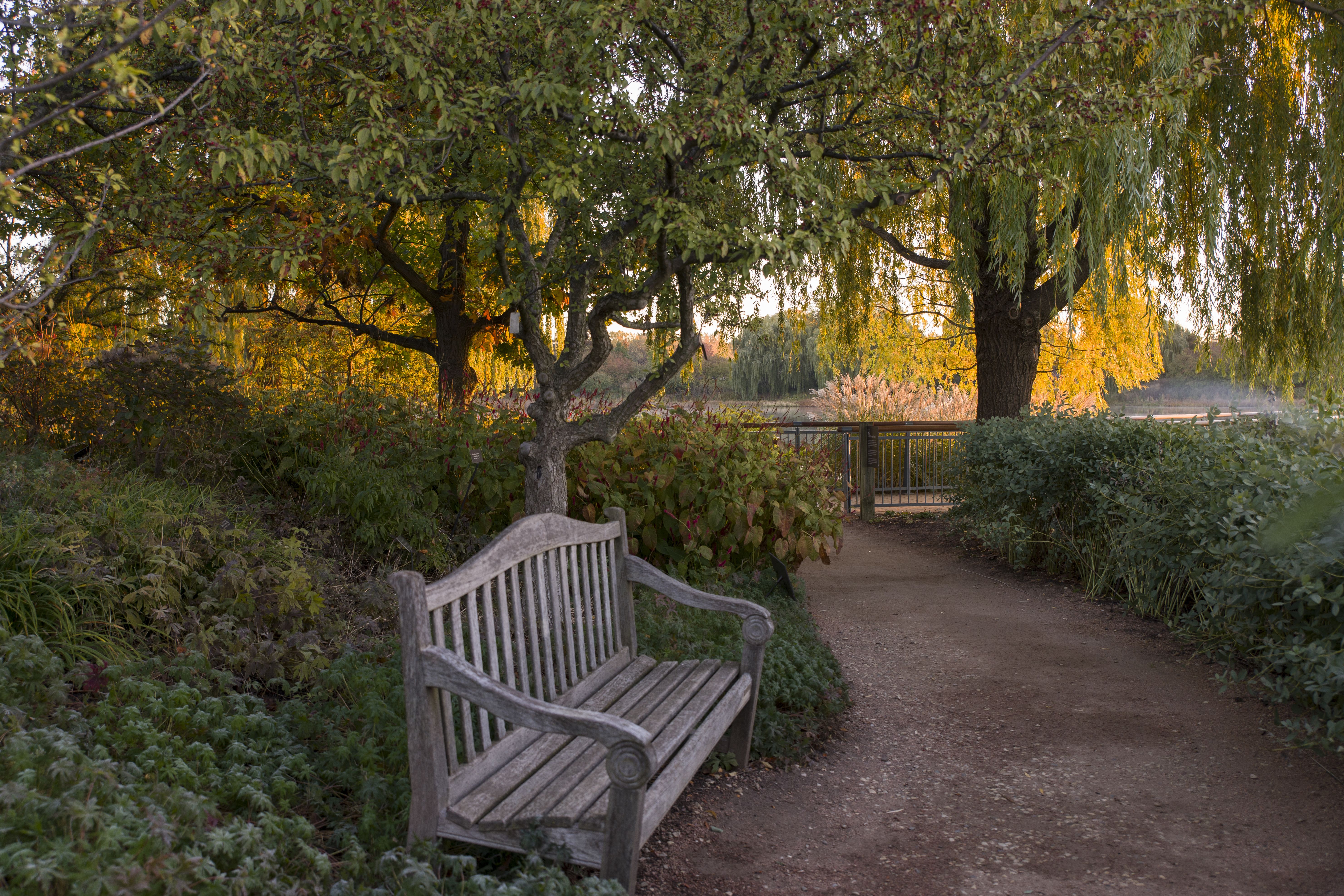 5923x3949 Fall. Chicago Botanic Garden