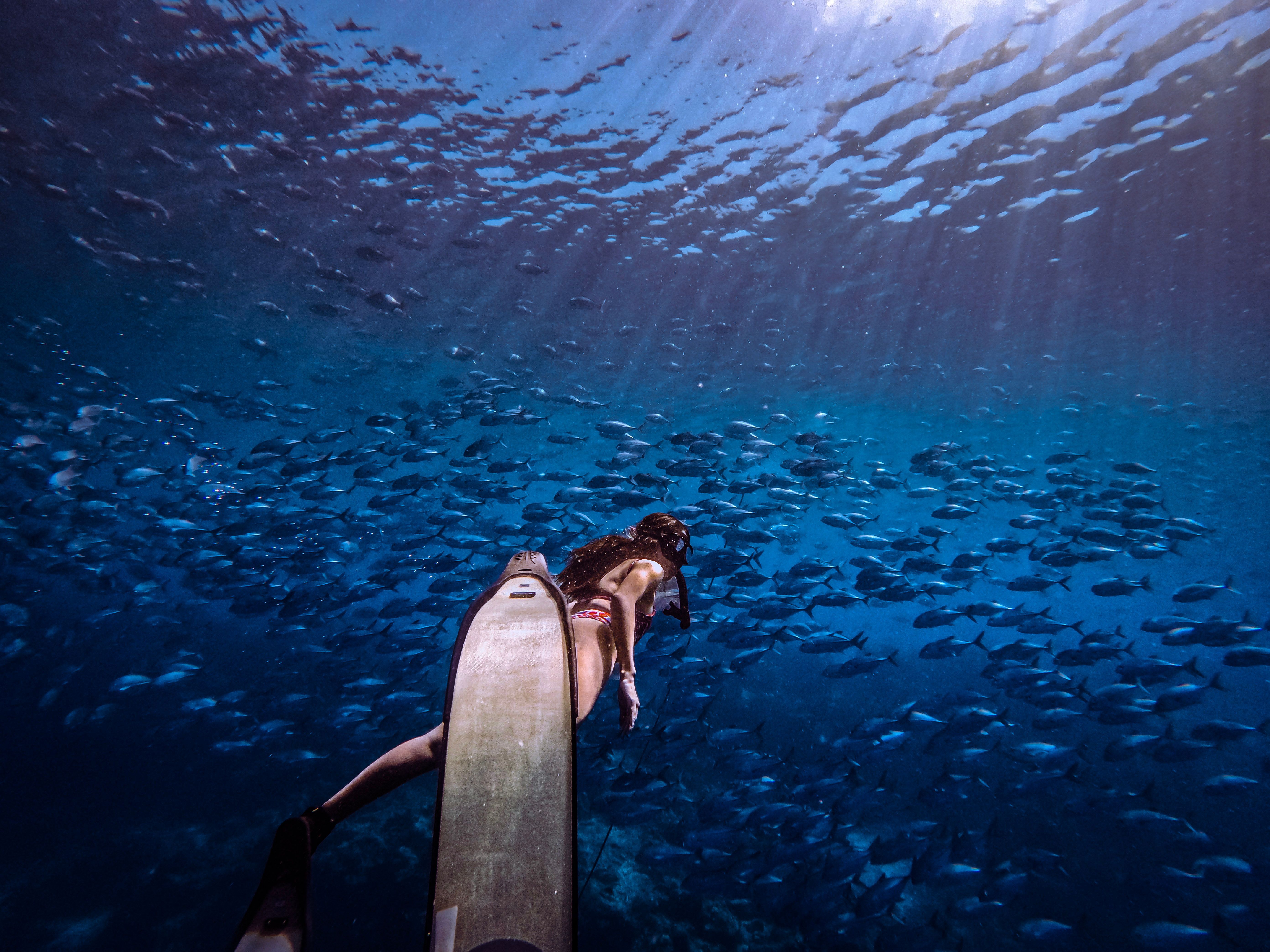 5568x4176 Photo Of Woman Swimming Underwater · Free