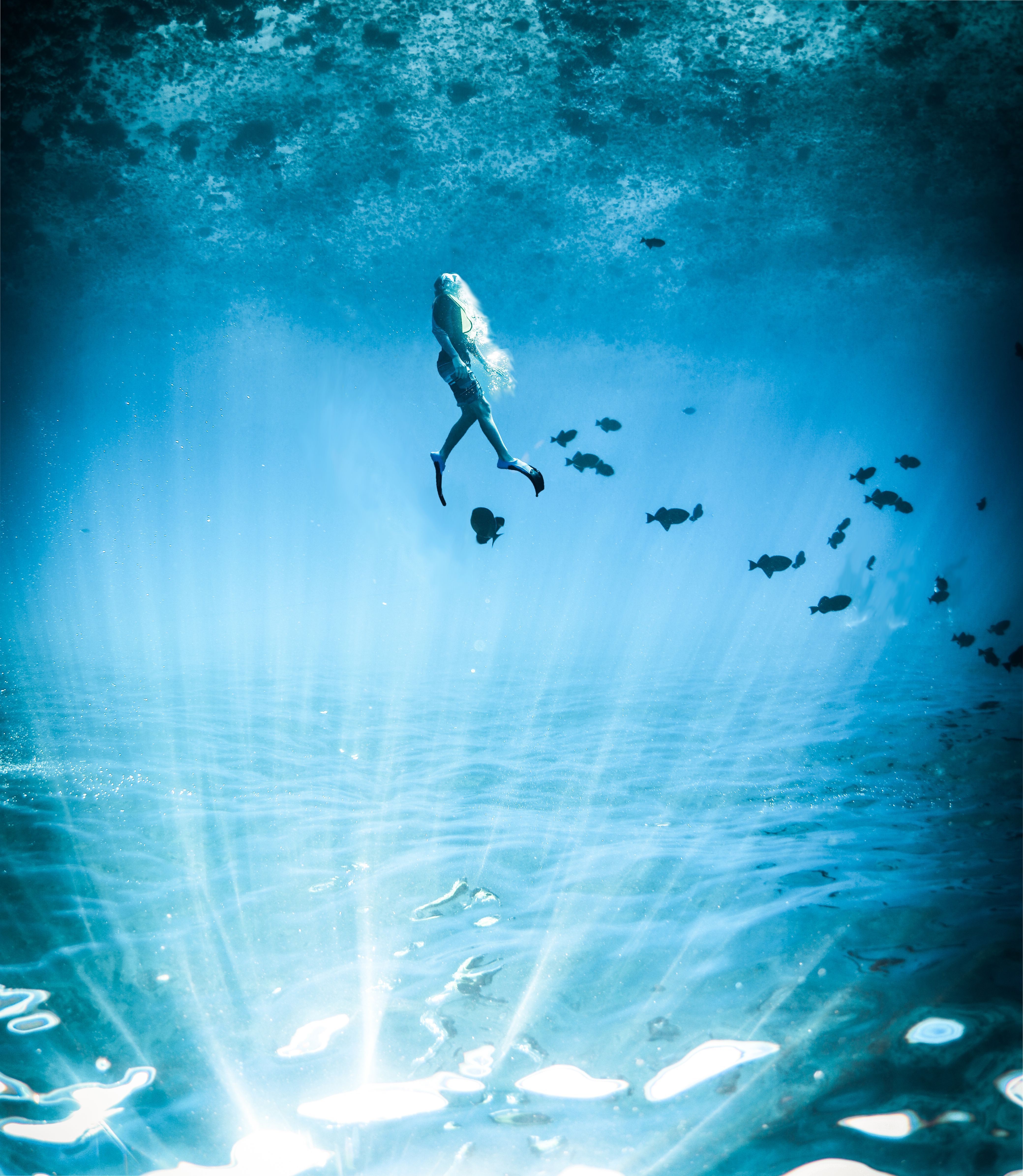 4160x4783 Underwater Photography of Diver · Free