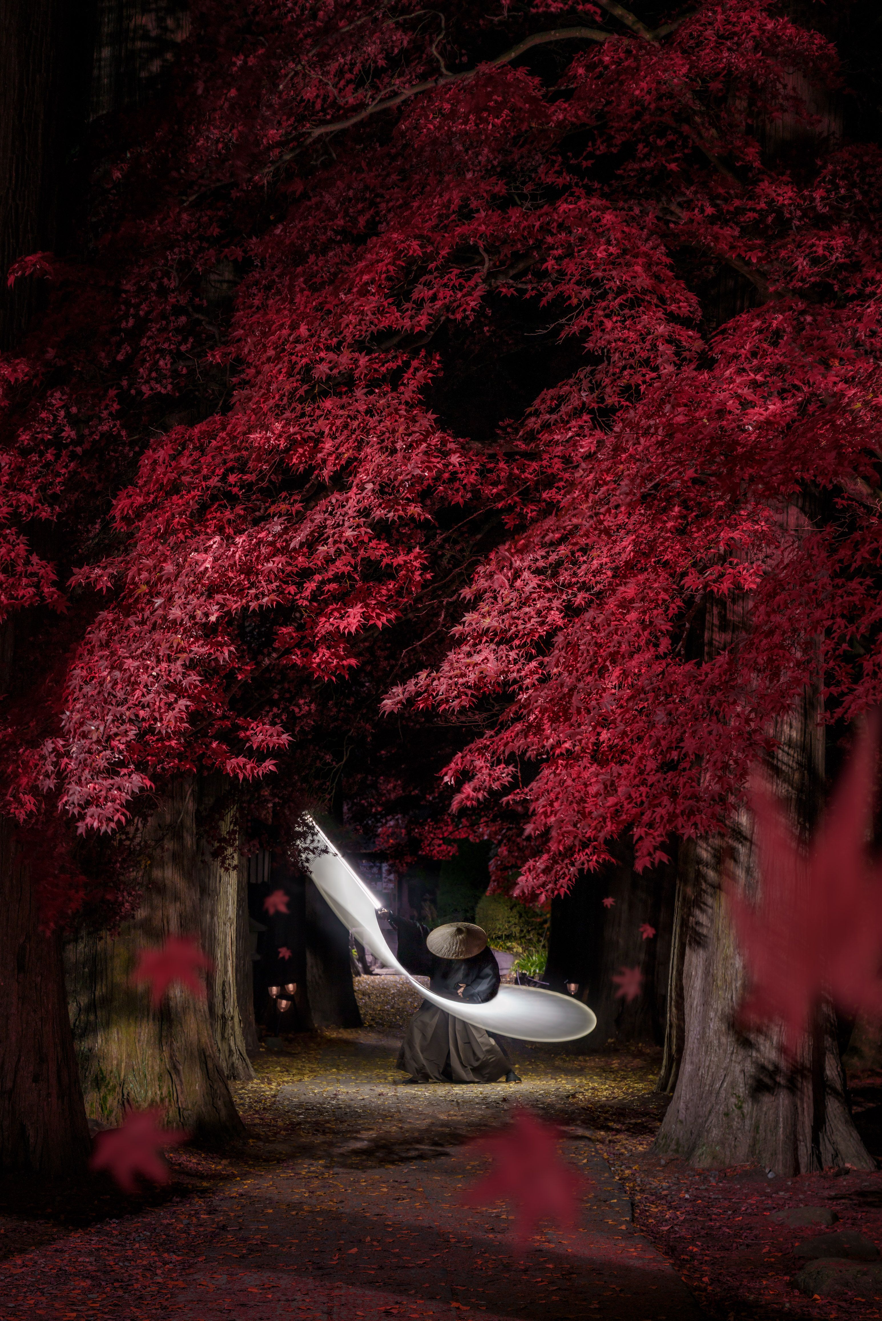 3090x4624 Samurai in Autumn Night. International Photo Awards