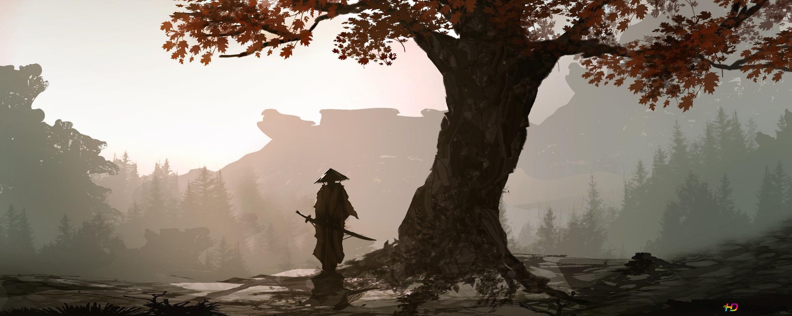 2560x1024 Sword Wielded Samurai Looking At The City And The Sky Under Tree Leaves 2K Wallpaper Download