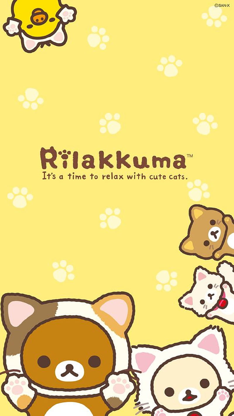 800x1422 Rilakkuma, animal, bear, HD phone wallpaper