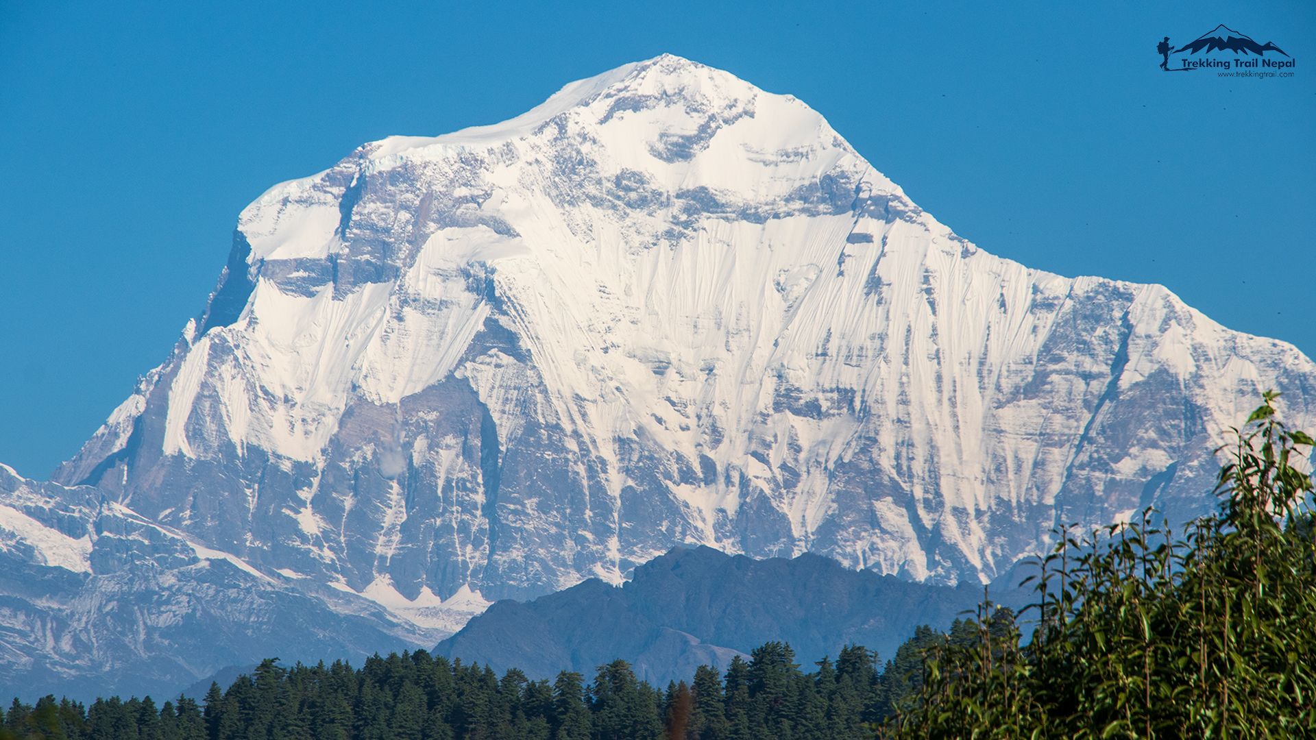 1920x1080 Dhaulagiri Sanctuary Trekking. Dhaulagiri Base Camp Trekking Trail Nepal