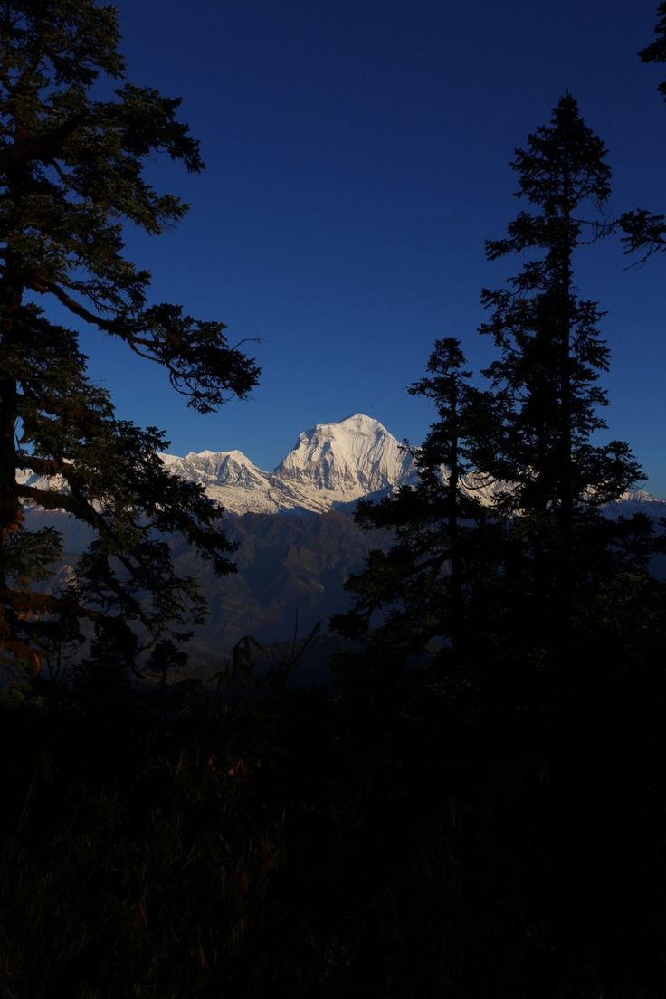 736x1104 Mount Dhaulagiri view from Mohare Danda view point. #Annapurna