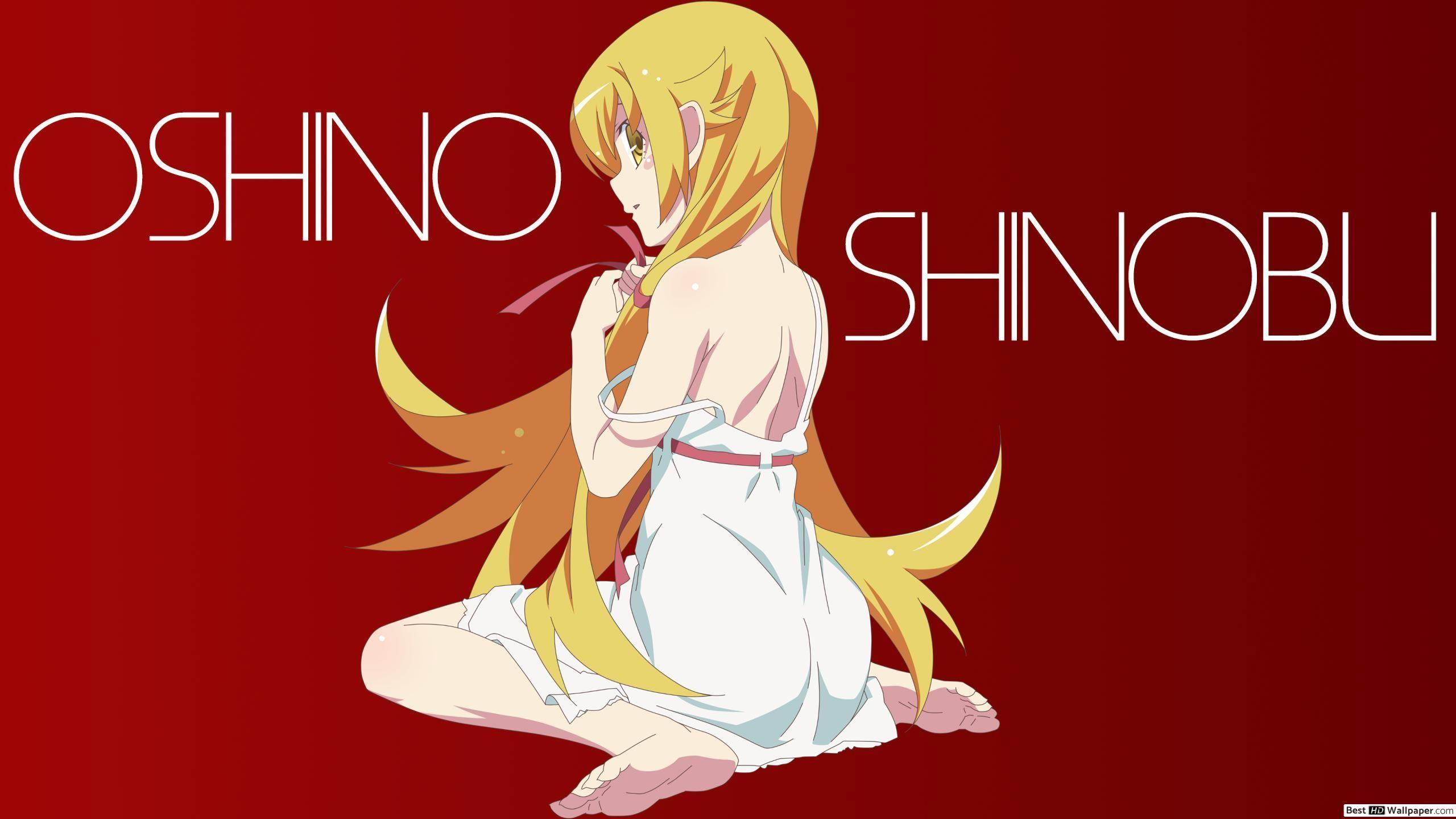 2560x1440 Oshino shinobu, Monogatari Series HD wallpaper download
