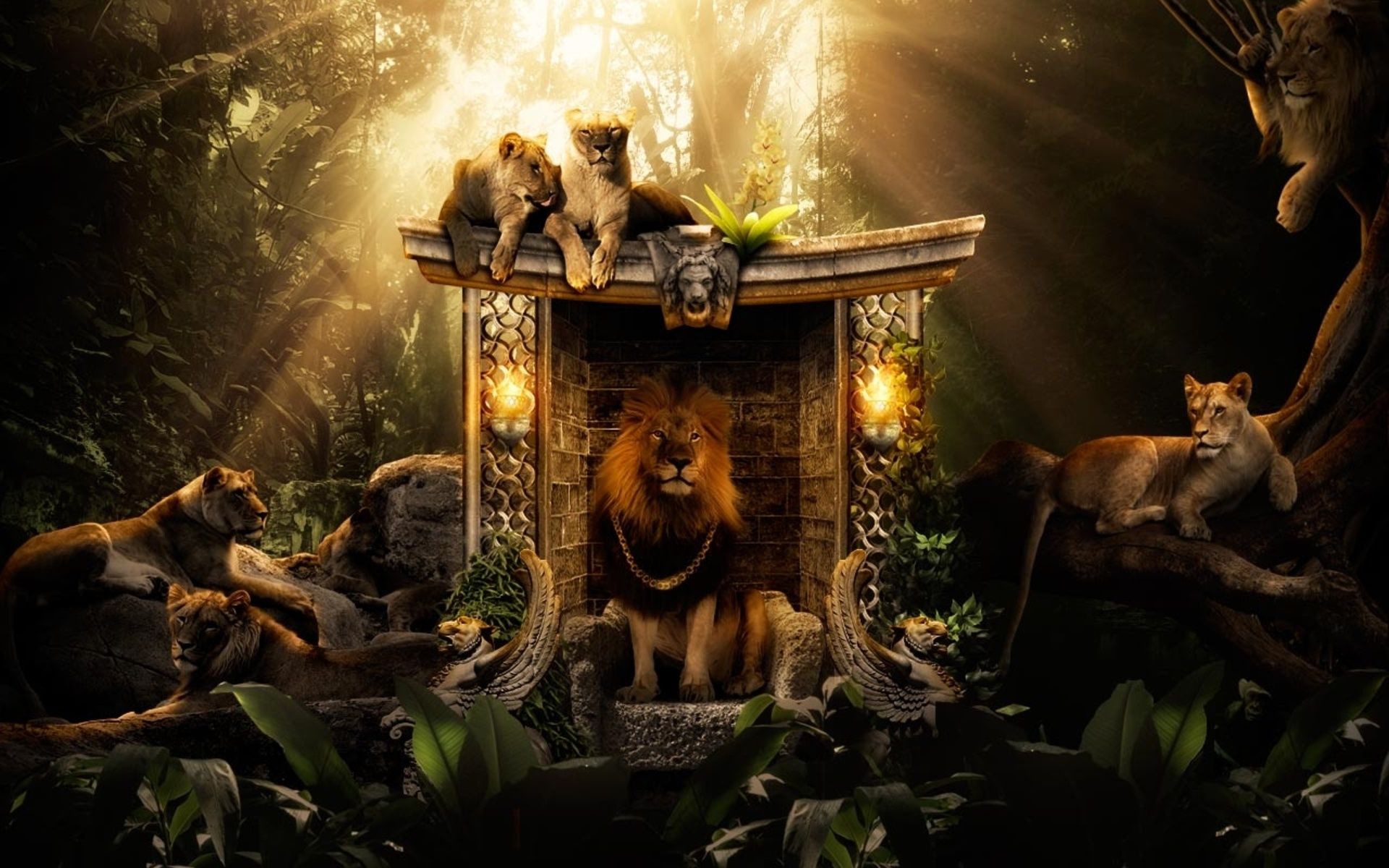 1920x1200 Majestic Jungle Lion HD Wallpaperx1200