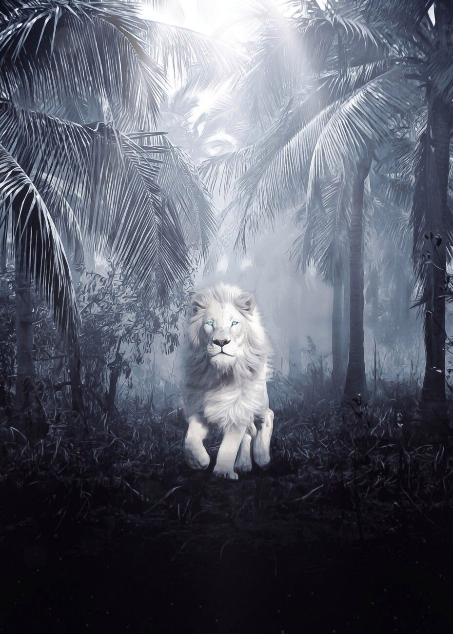 929x1300 Poster White Lion Night Safari Jungle