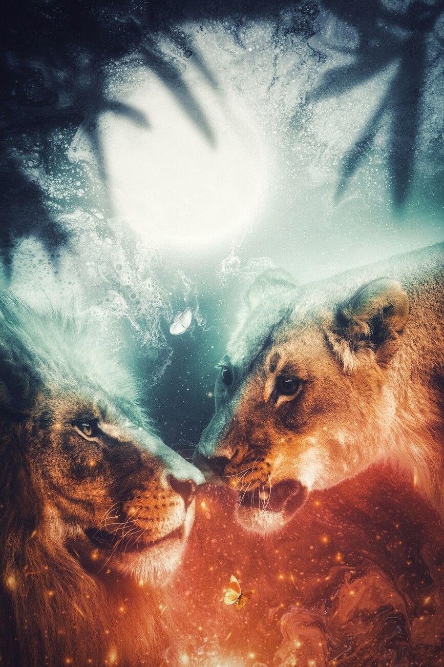 867x1300 Poster Couple of lion in the jungle Moonlight