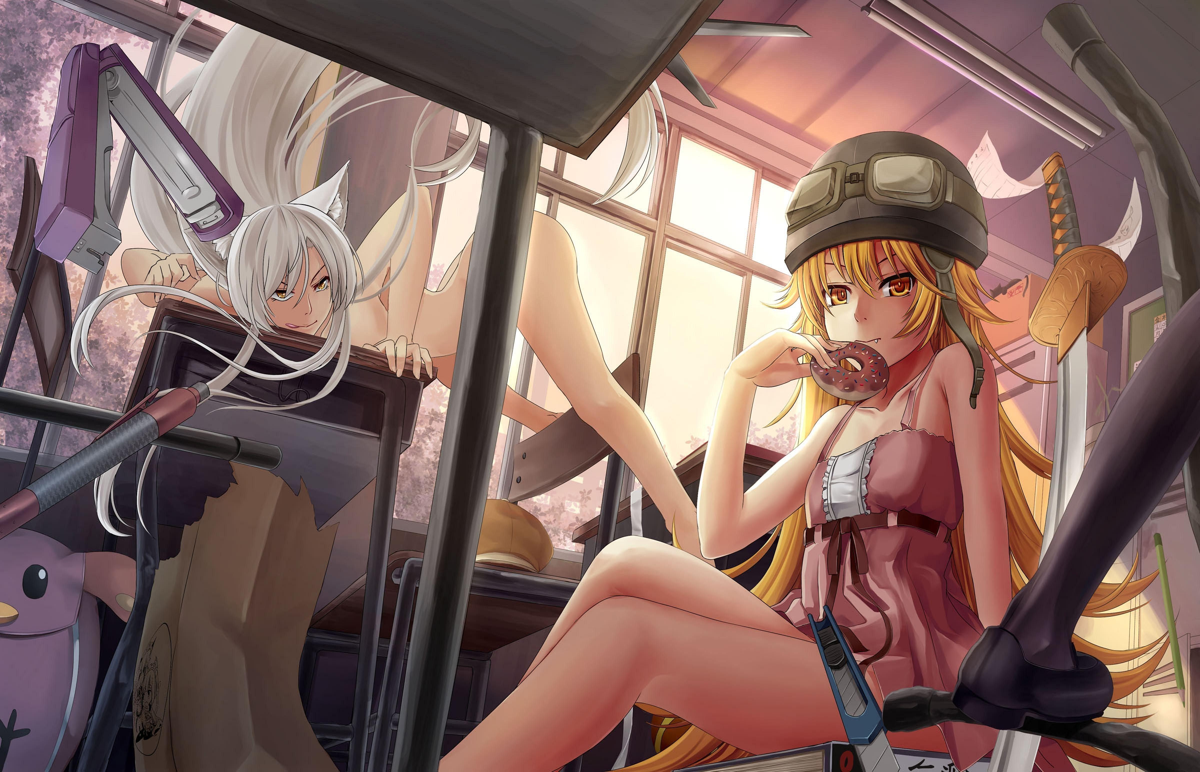 4800x3086 Oshino Shinobu Wallpaper