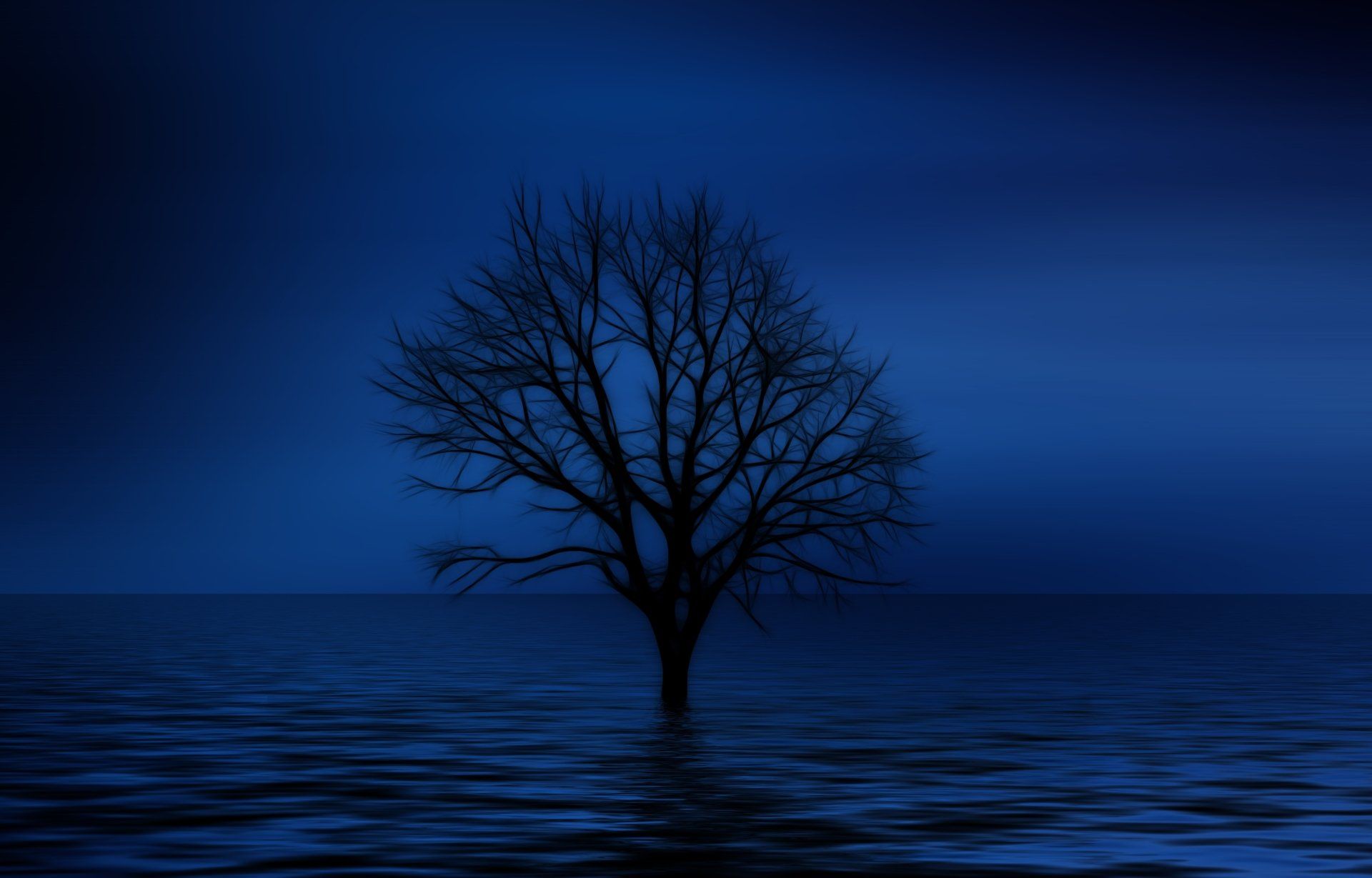 1920x1229 4K Ultra HD Artistic Blue Tree in Solitudex3200