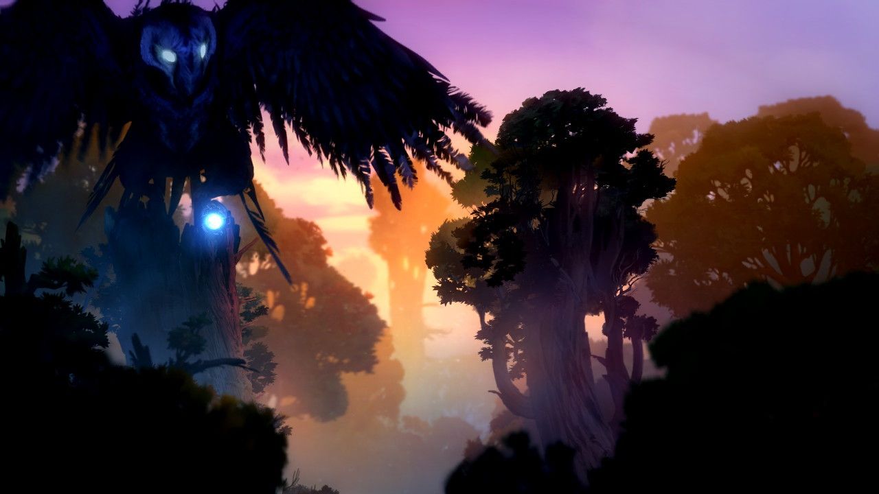1280x720 theobaldthebird
