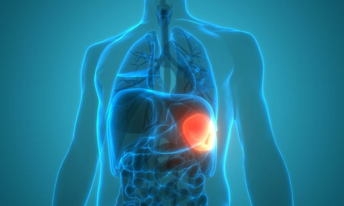 1200x720 Cary Gastroenterology Associates. What Is the Function of the Spleen?