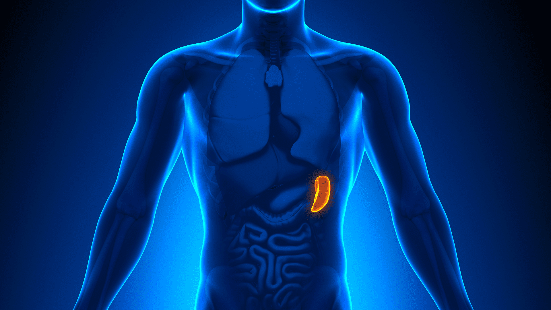 1920x1080 Mental & Emotional Aspects of Spleen Meridian in Acupuncture
