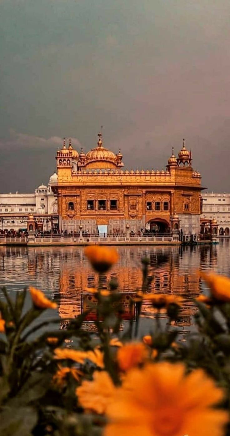 736x1395 Golden temple ideas. sikh temple wallpaper, harminder sahib golden temple wallpaper, golden temple in clouds