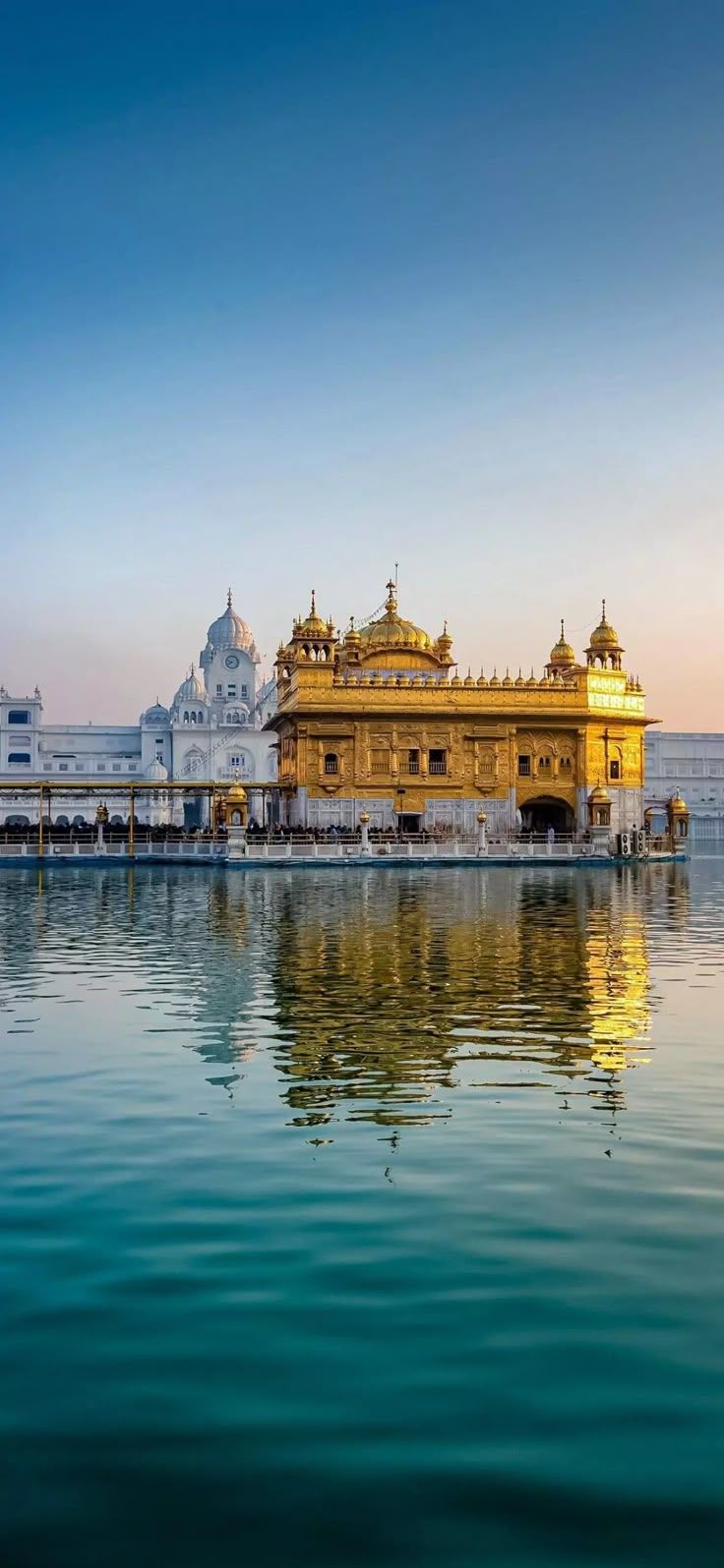 736x1595 Golden Temple in Amritsar, Punjab, India. Golden temple photography beautiful, Golden temple HD wallpaper, Golden