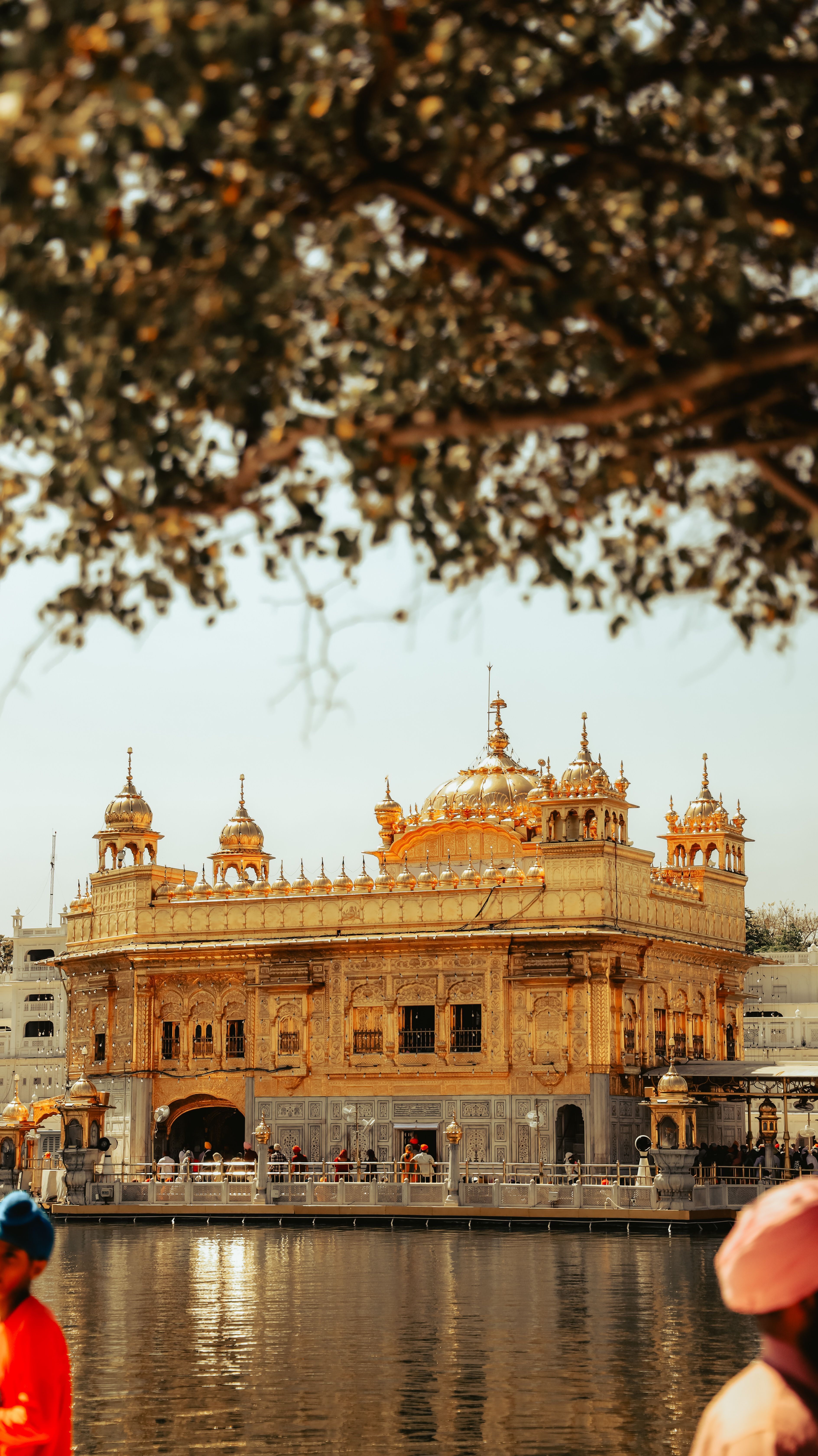 3776x6720 Golden Temple in Amritsar on a Sunny Day · Free