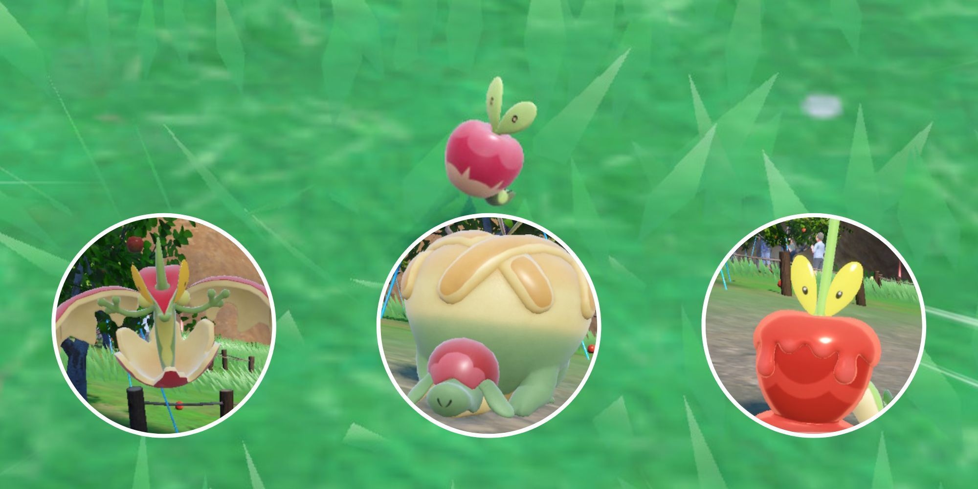 2000x1000 Pokemon Scarlet & Violet DLC: How To Get & Evolve Applin