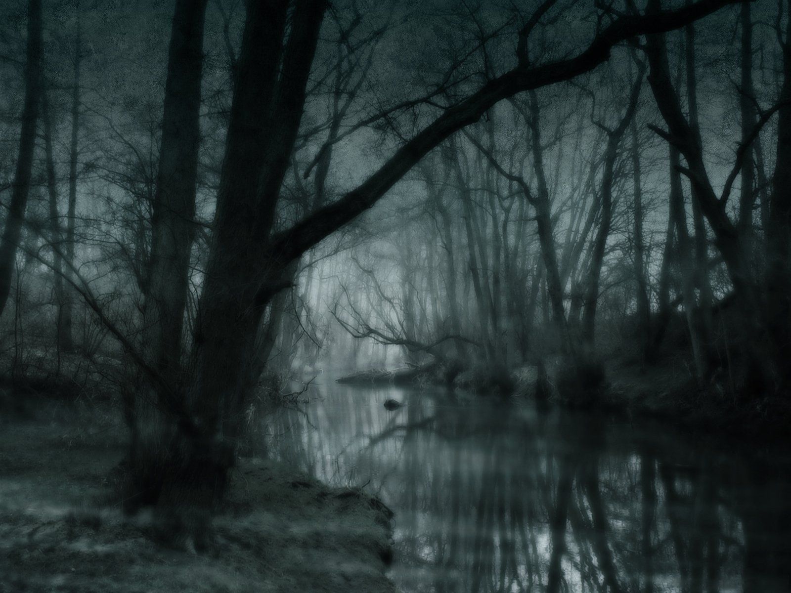 1600x1200 Dark Swamp Serenity HD Wallpaperx1200