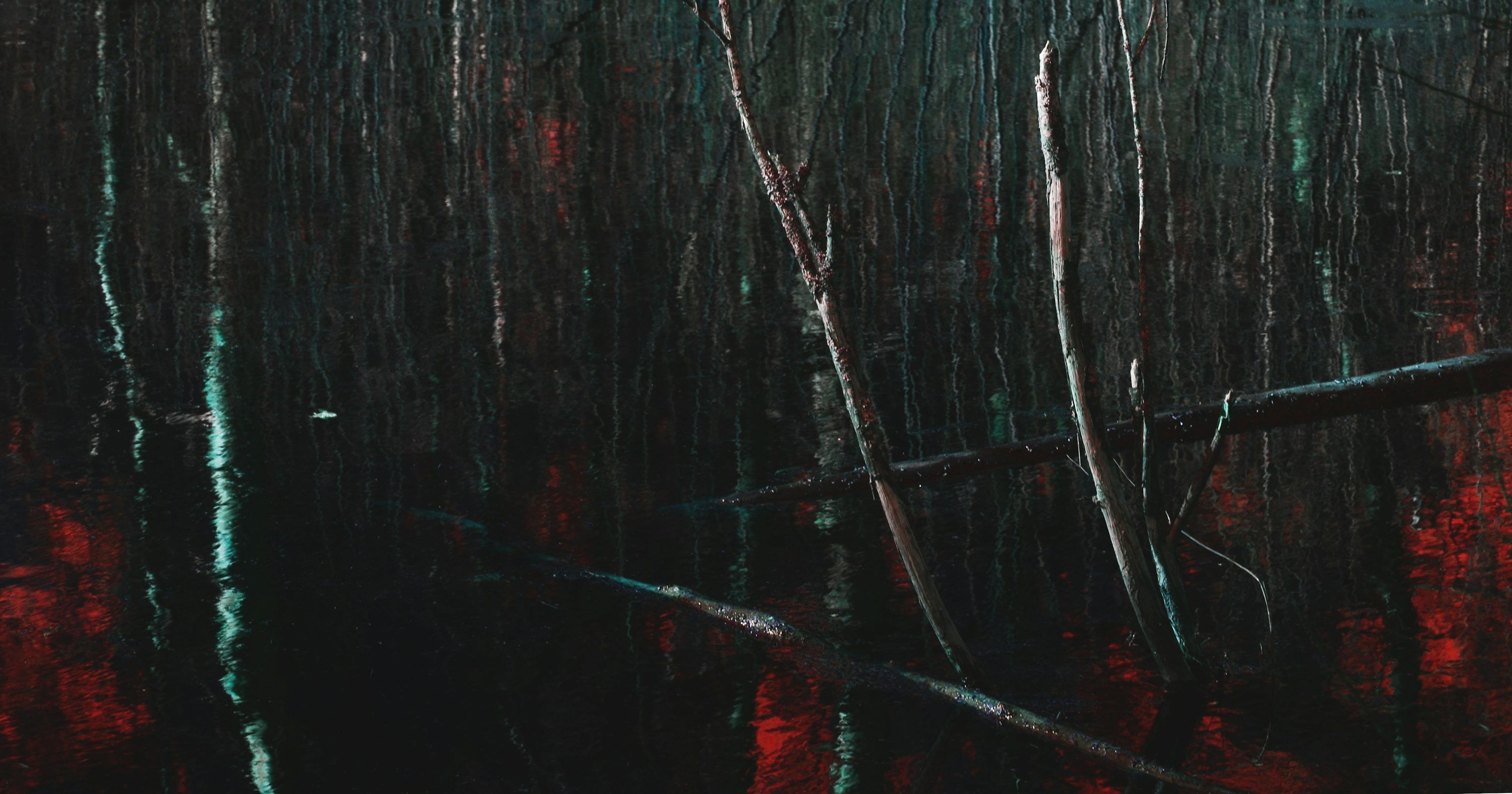 3000x1576 Dark Swamp Picture. Download Free Image