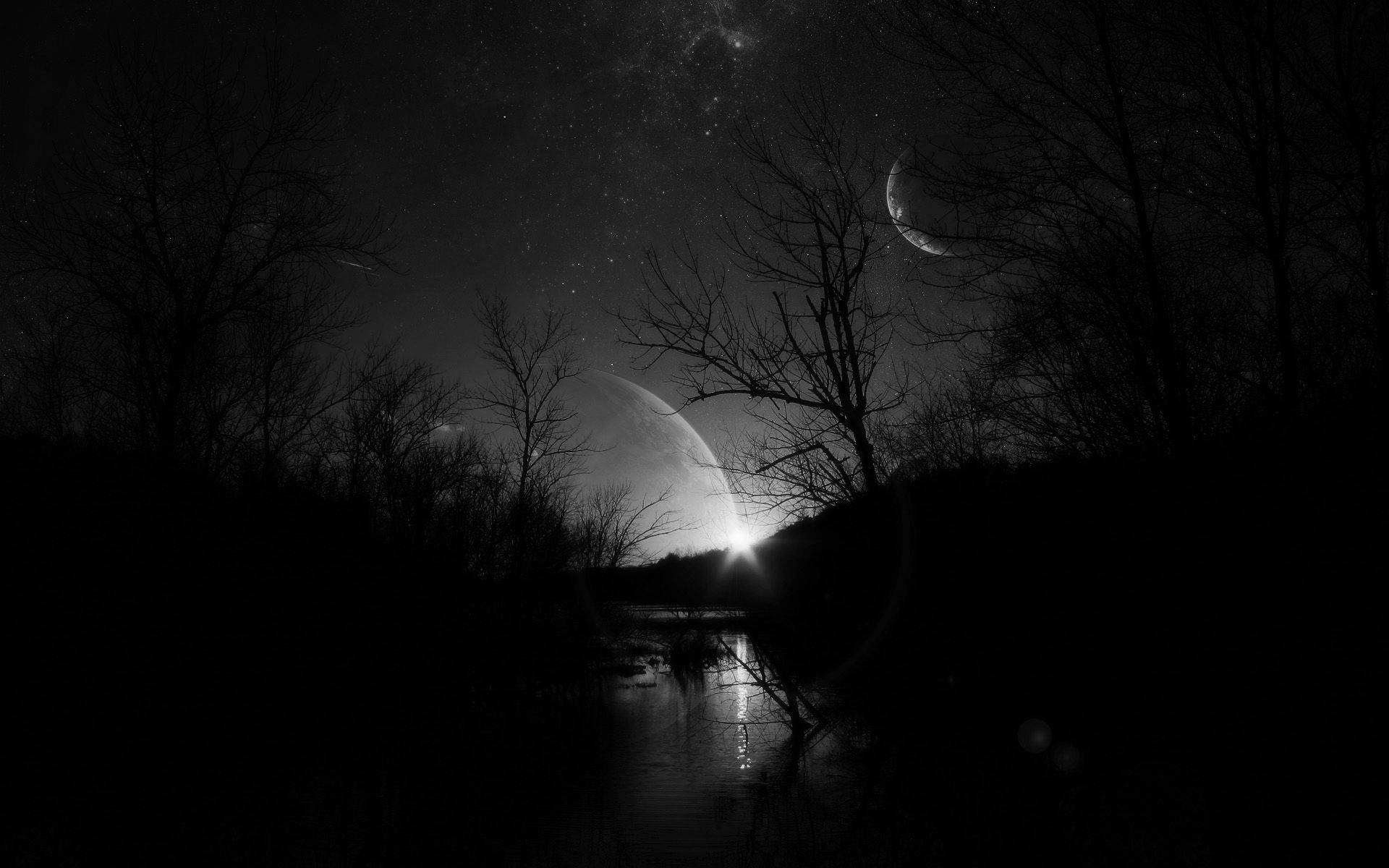 1920x1200 Download Beautiful Dark Swamp Silhouette Wallpaper