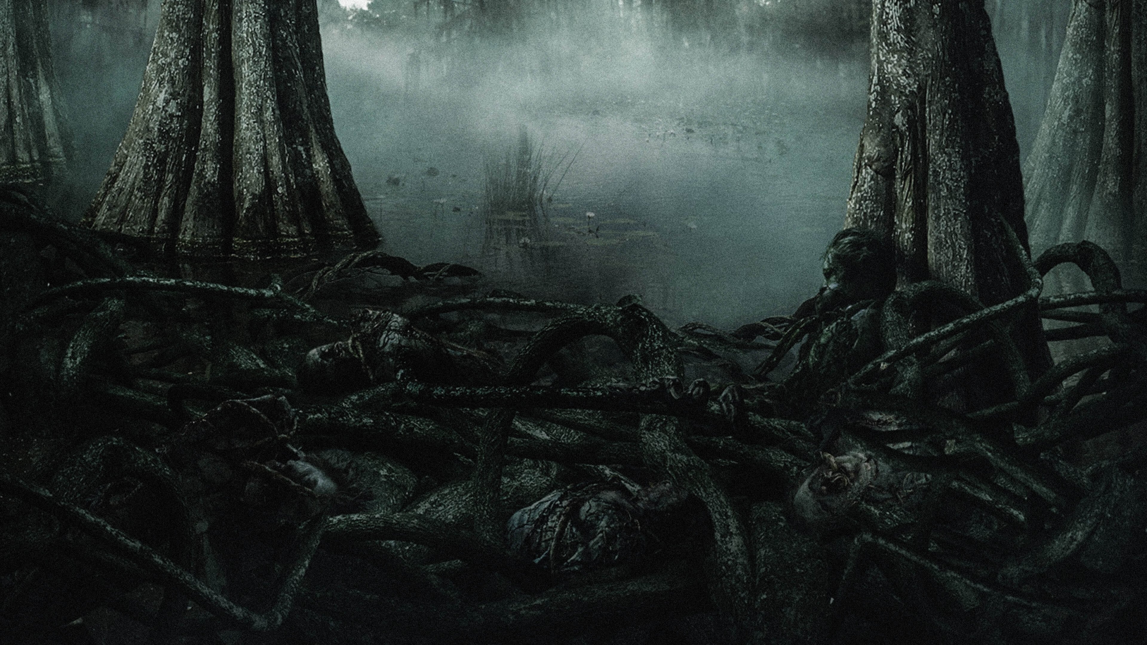 3840x2160 Swamp 4k Wallpaper