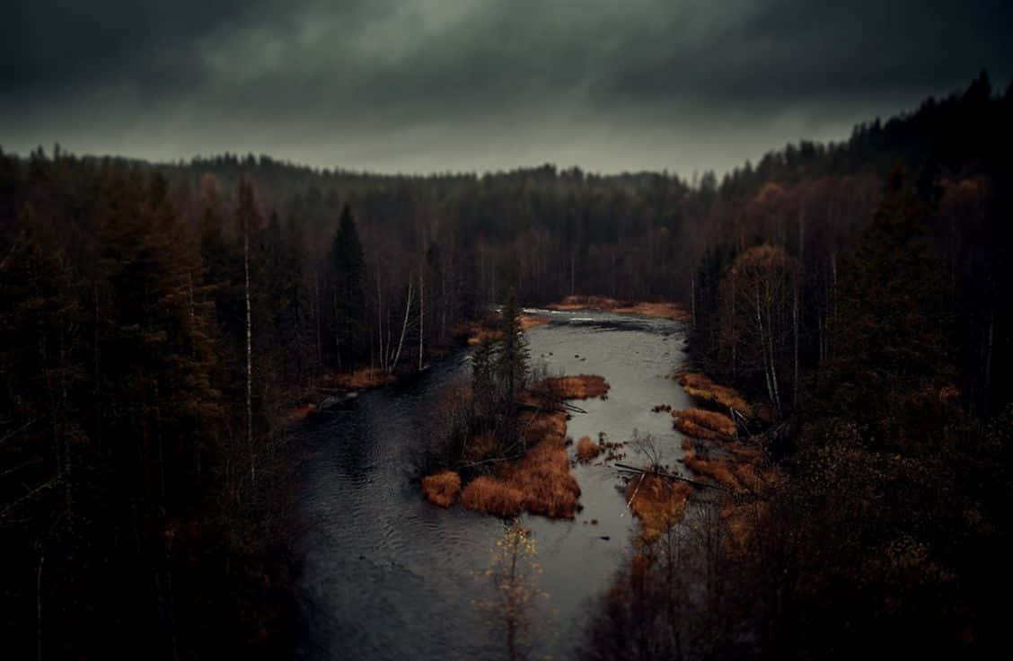 1128x736 Download Dark Autumn Forest By The Swamp Wallpaper