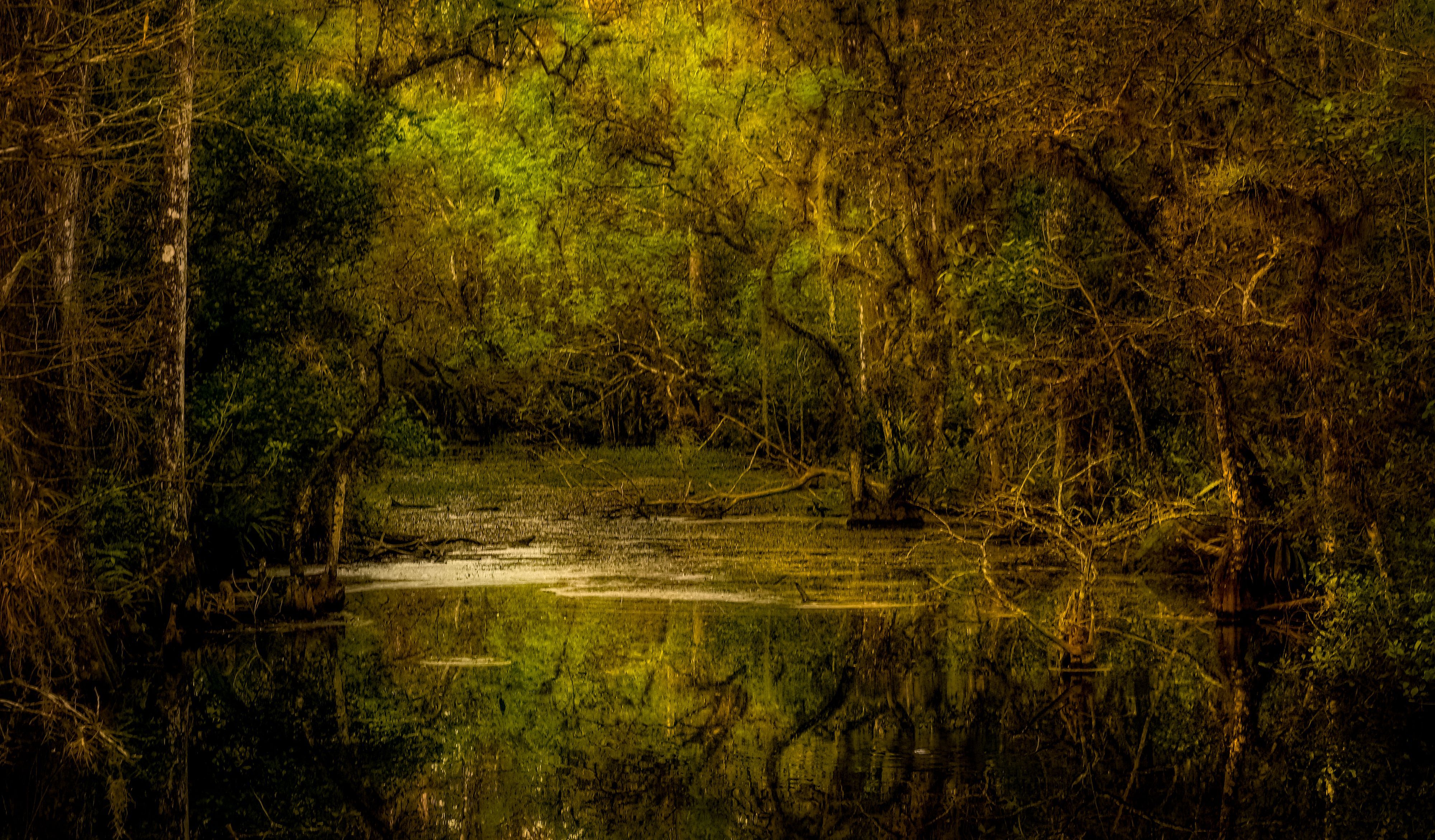 4000x2342 Swamp Waters Photo, Download The BEST Free Swamp Waters & HD Image