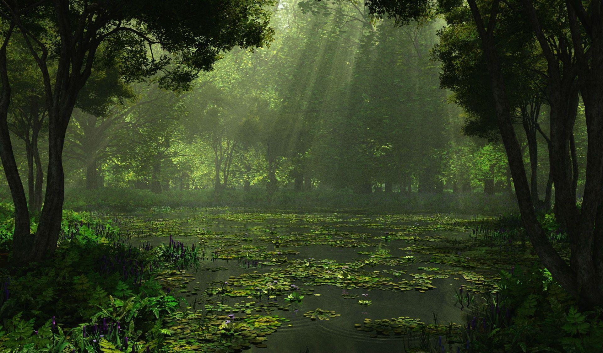 1920x1125 Swamp Background