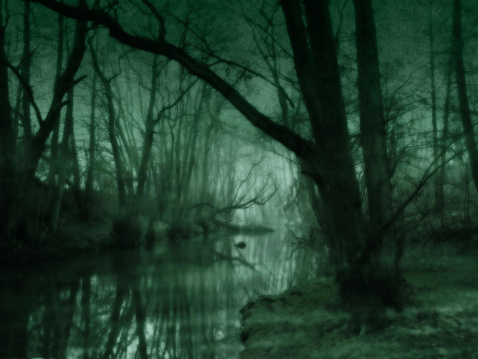 1600x1200 Location Encounter A dark and eerie swamp lays before you, in the distance you see a faint light