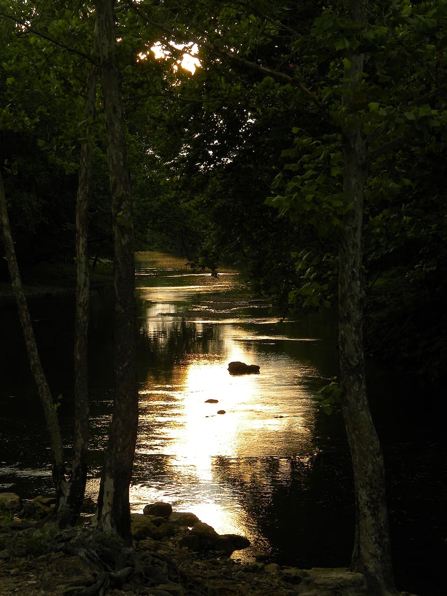 910x1213 HD wallpaper: dark, sunset, water, river, scenic, romantic, nature, forest