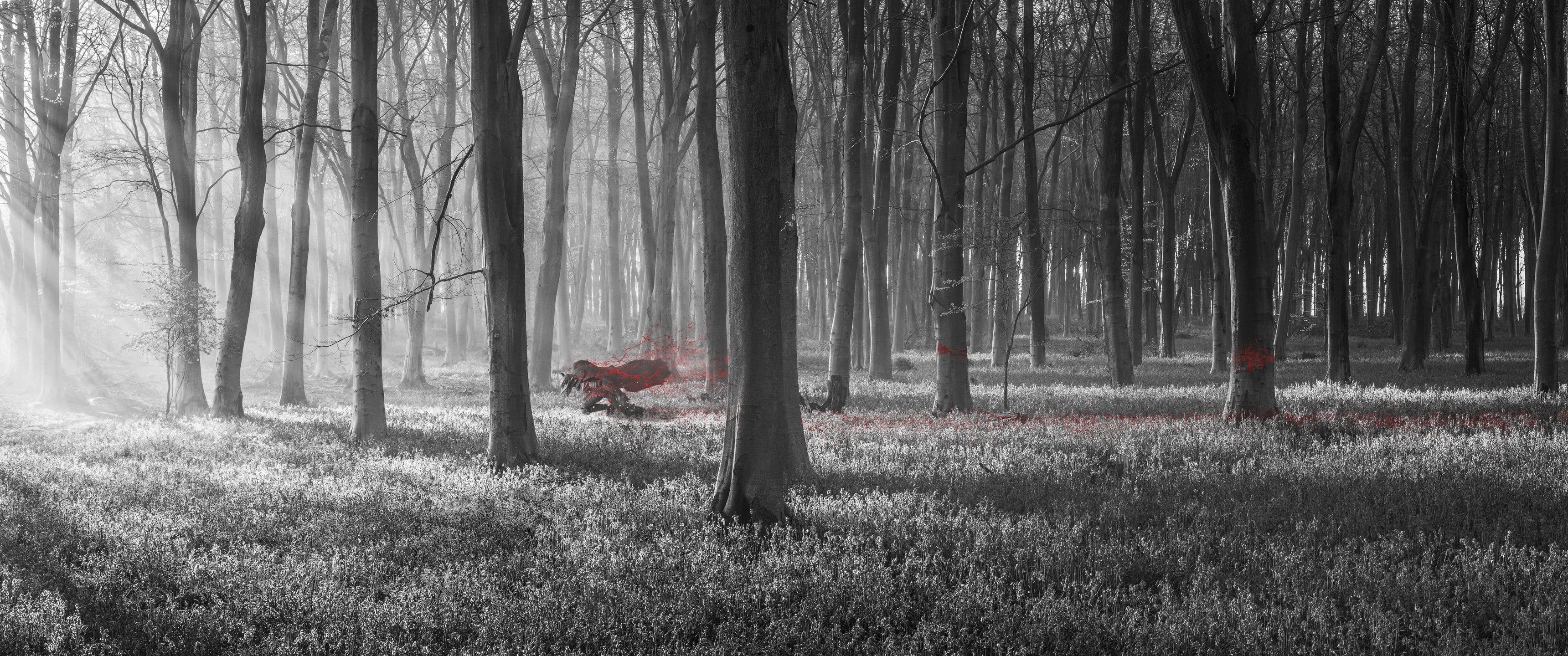 3440x1440 Made myself an ultrawide berserk wallpaper, thought i'd share