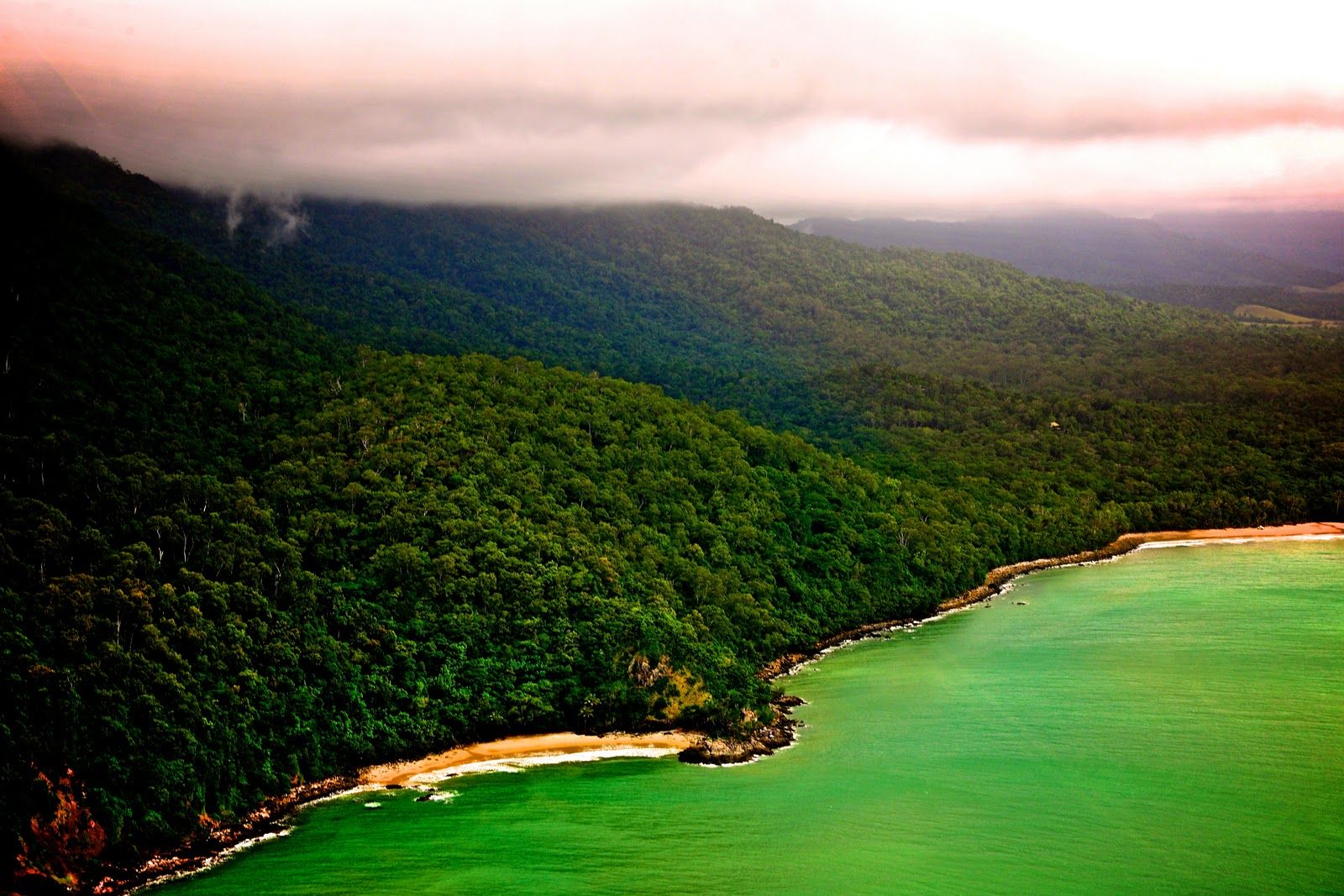 1600x1067 Daintree Rainforest Coast