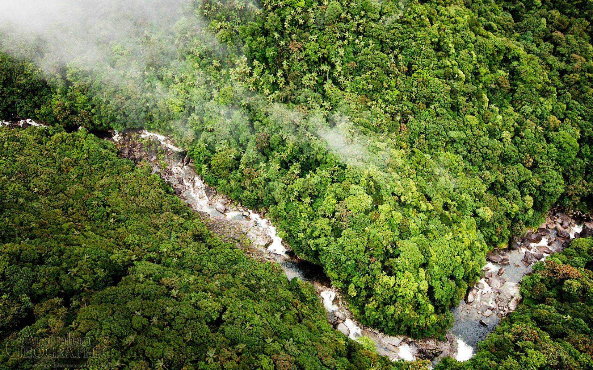 1920x1200 Verdant Daintree
