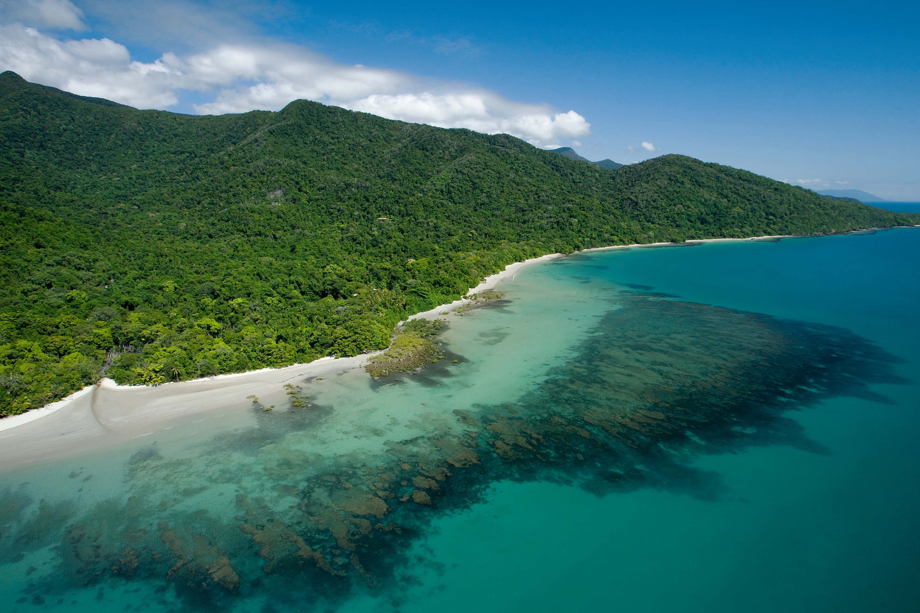 3200x2133 Daintree National Park Wallpaper