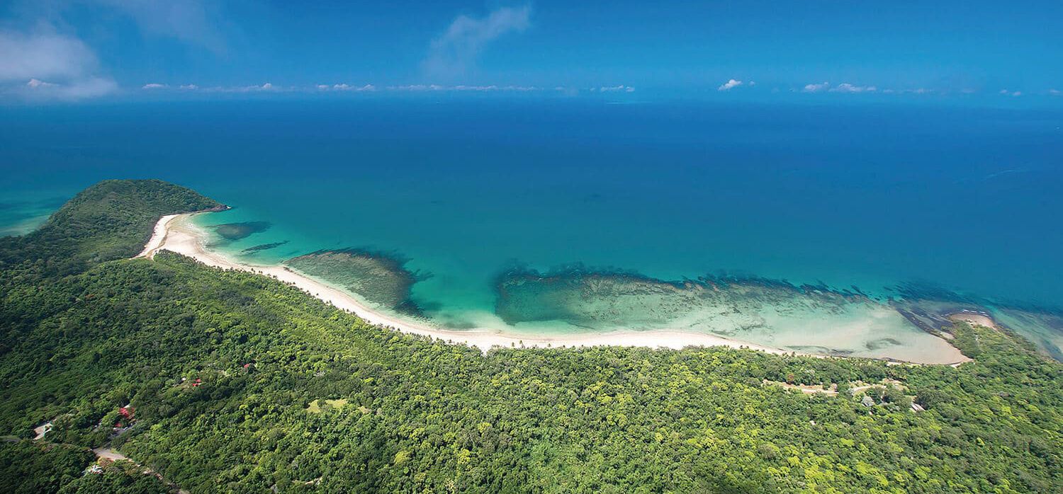 1500x698 Daintree Afternoon Nature & Wildlife Tour
