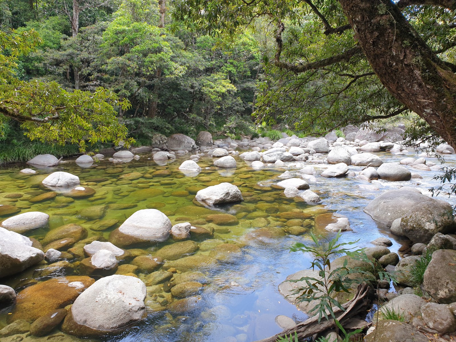 1600x1200 The Magnificent Daintree Rainforest And Attractions. Camping For Women