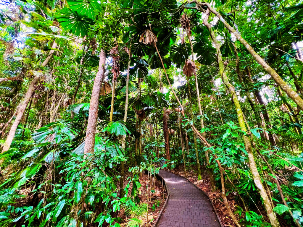 1024x768 Days of Tropical Fun in Stunning North Queensland Family Getaway