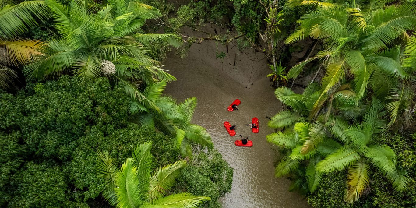 1366x683 The Best Things To Do In Daintree Rainforest