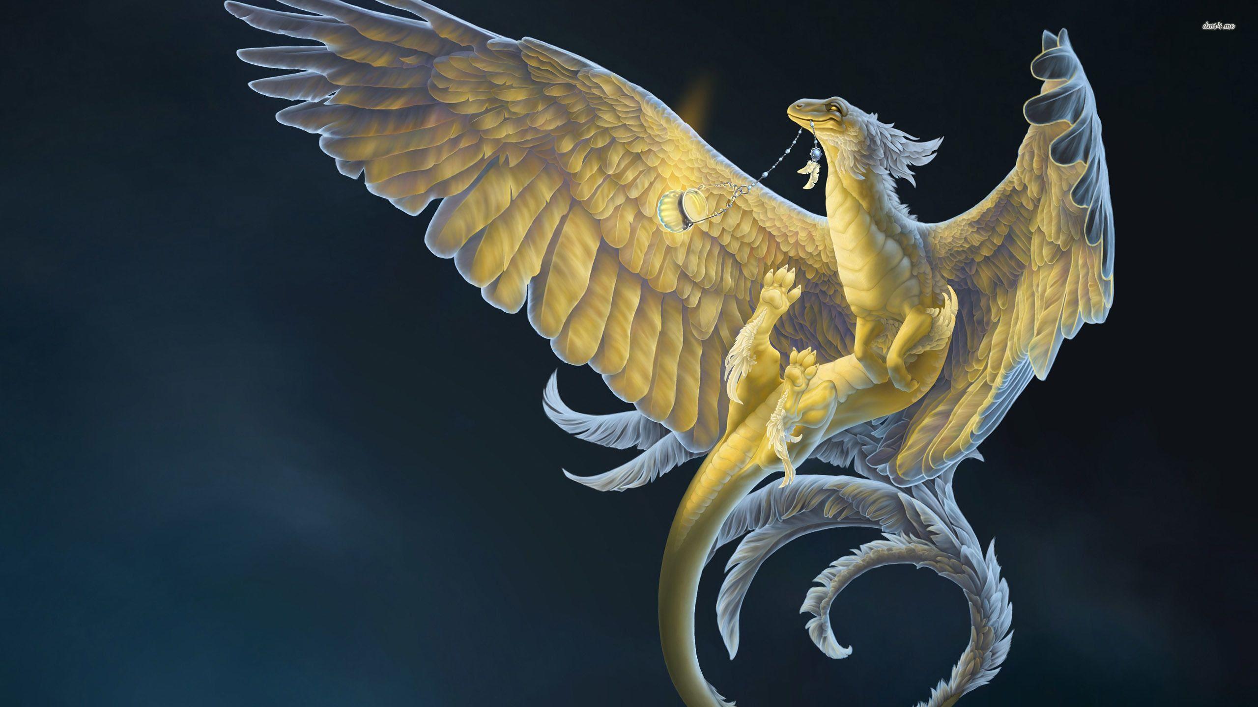 2560x1440 Feather Dragon Wallpaper
