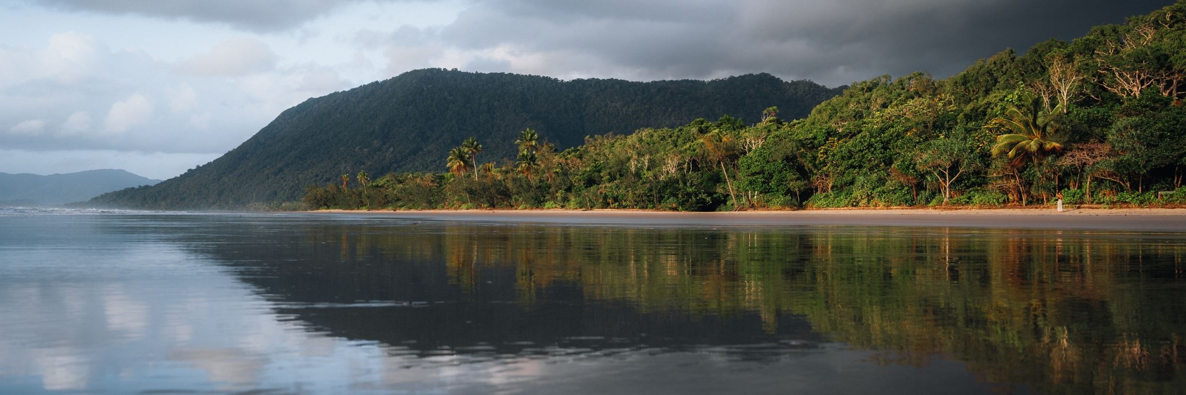 2438x813 Daintree Rainforest: The World's Oldest Rainforest
