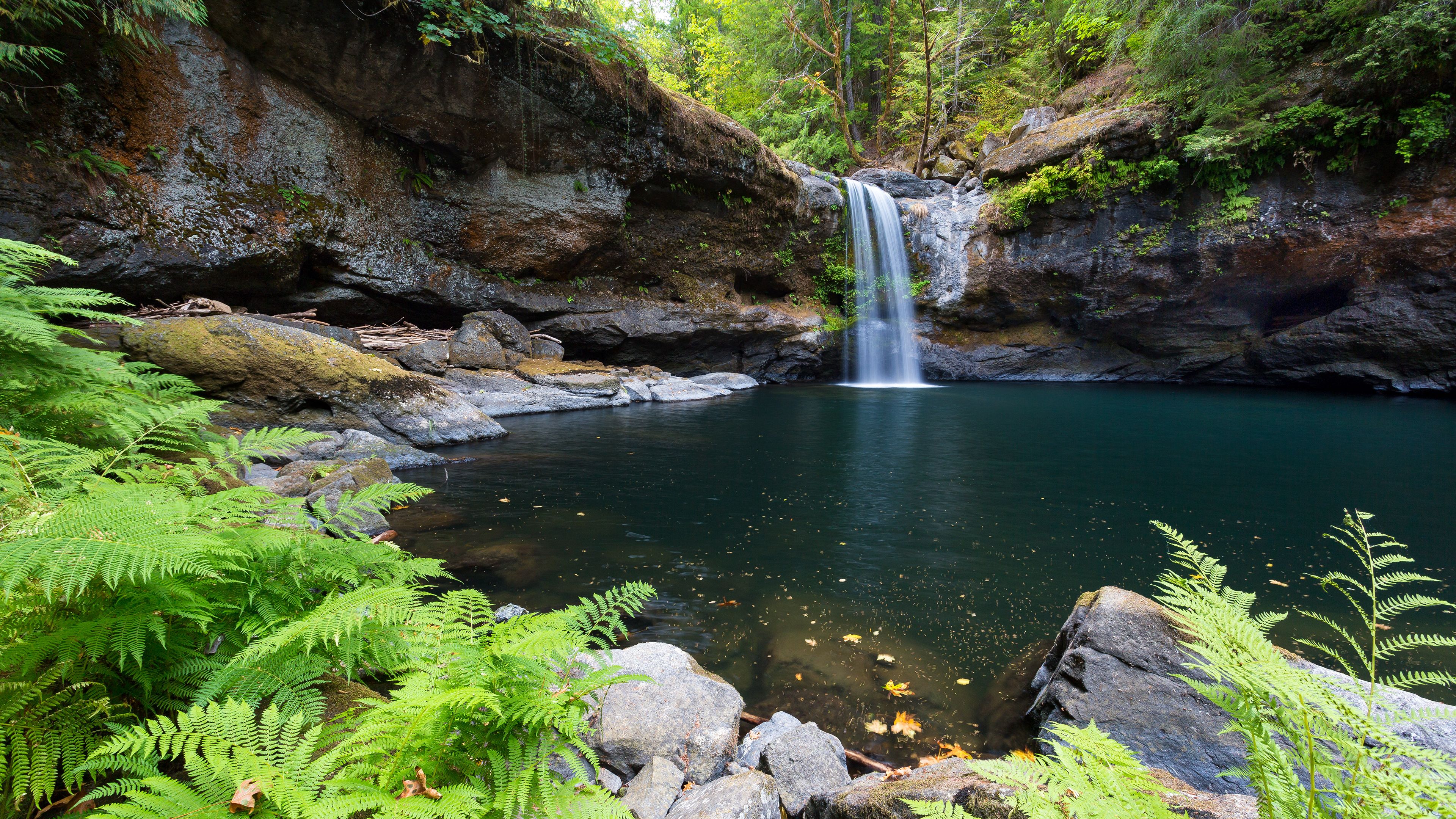 3840x2160 Daintree National Park Wallpaper