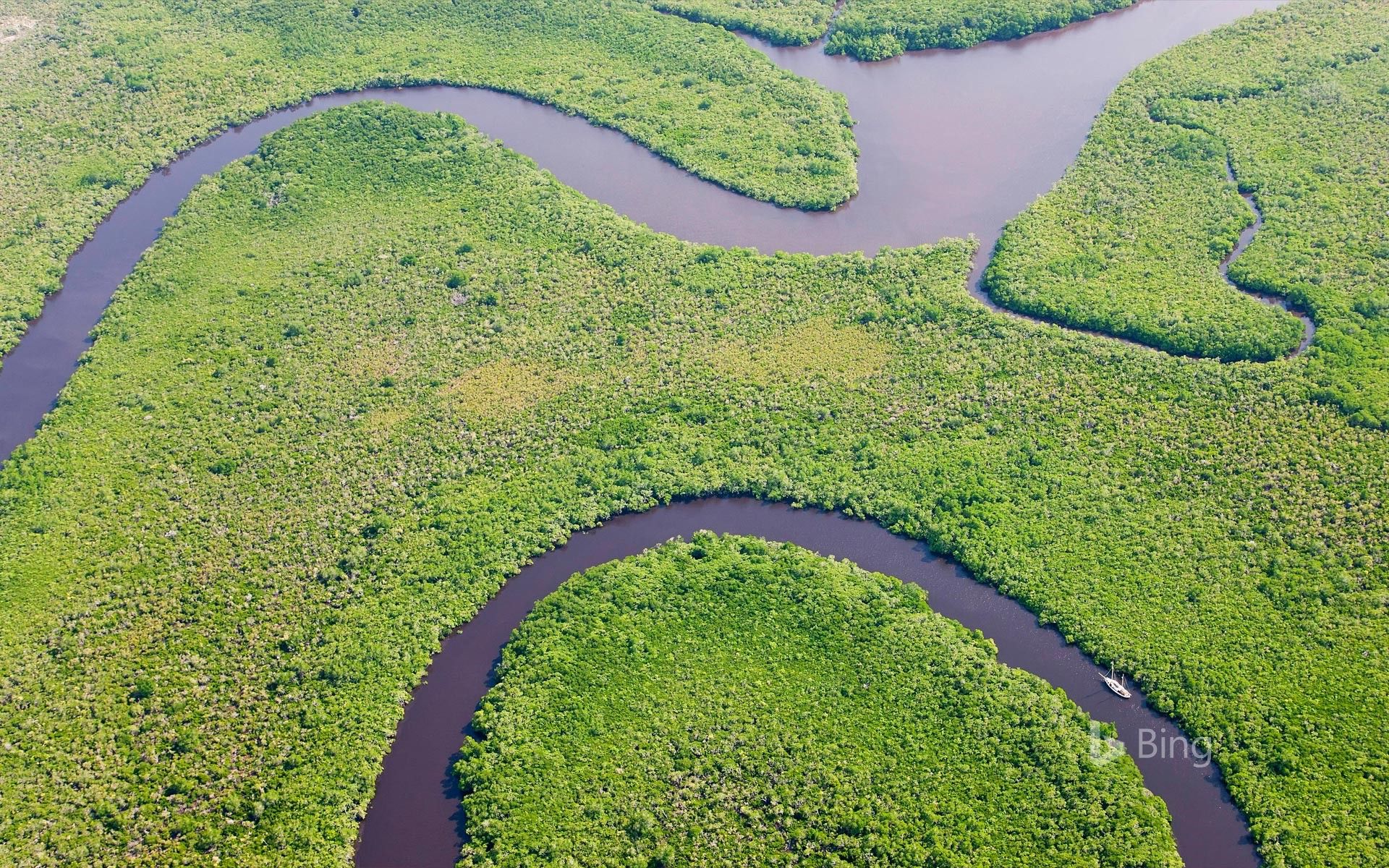1920x1200 Aerial view of Daintree River and rainforest, Australia Wallpaper