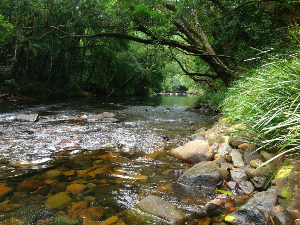 1024x768 Daintree Rainforest Safari, North Queensland
