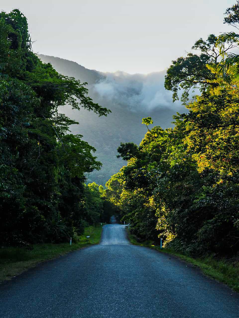 960x1280 Awesome Things To Do In The Daintree Rainforest (2026) // Travel Mermaid