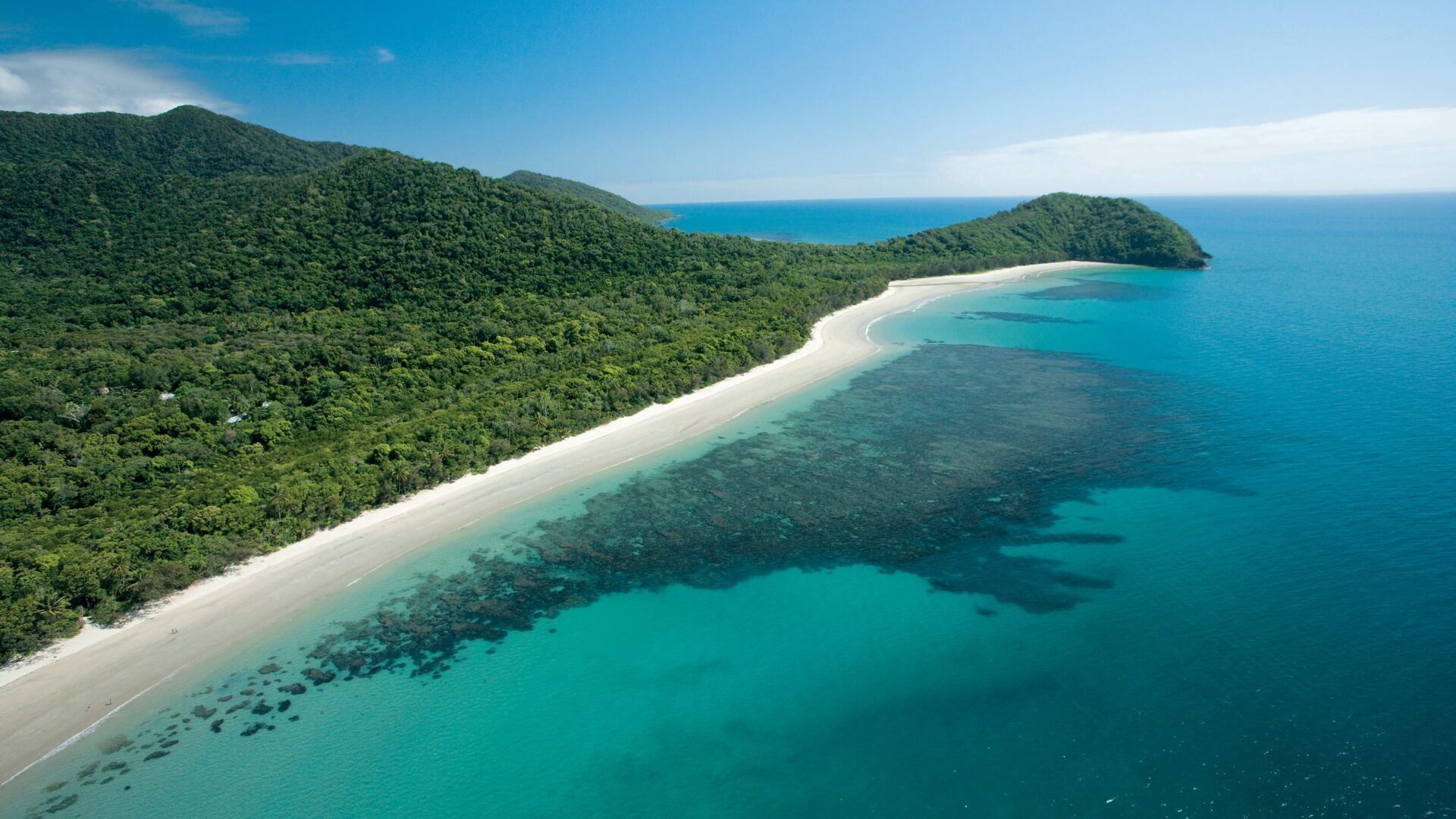 1920x1080 Daintree Rainforest Tour from Cairns. Full Day Adventure