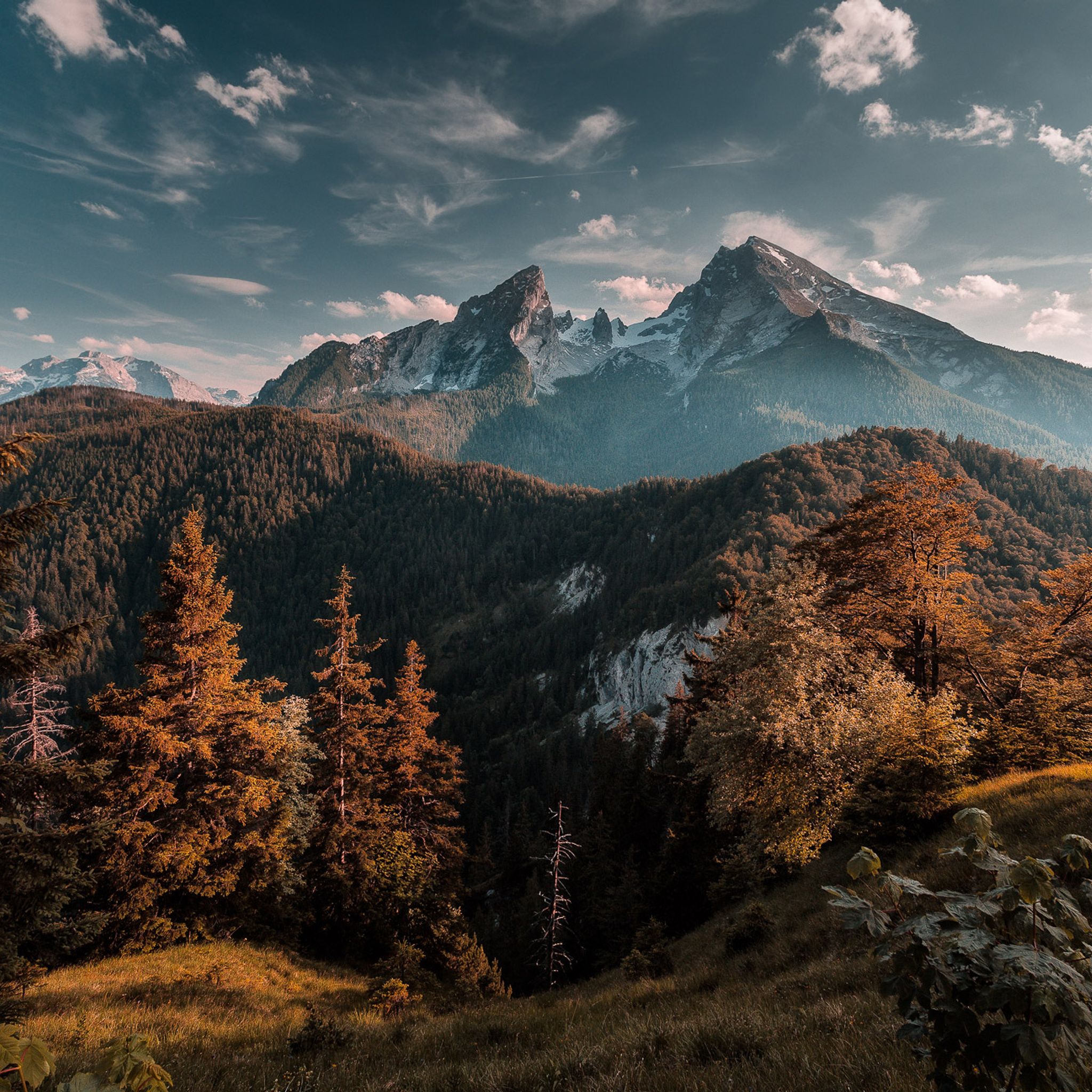 2048x2048 Forest Mountains iPad Air , HD 4k Wallpaper, Image, Background, Photos and Picture