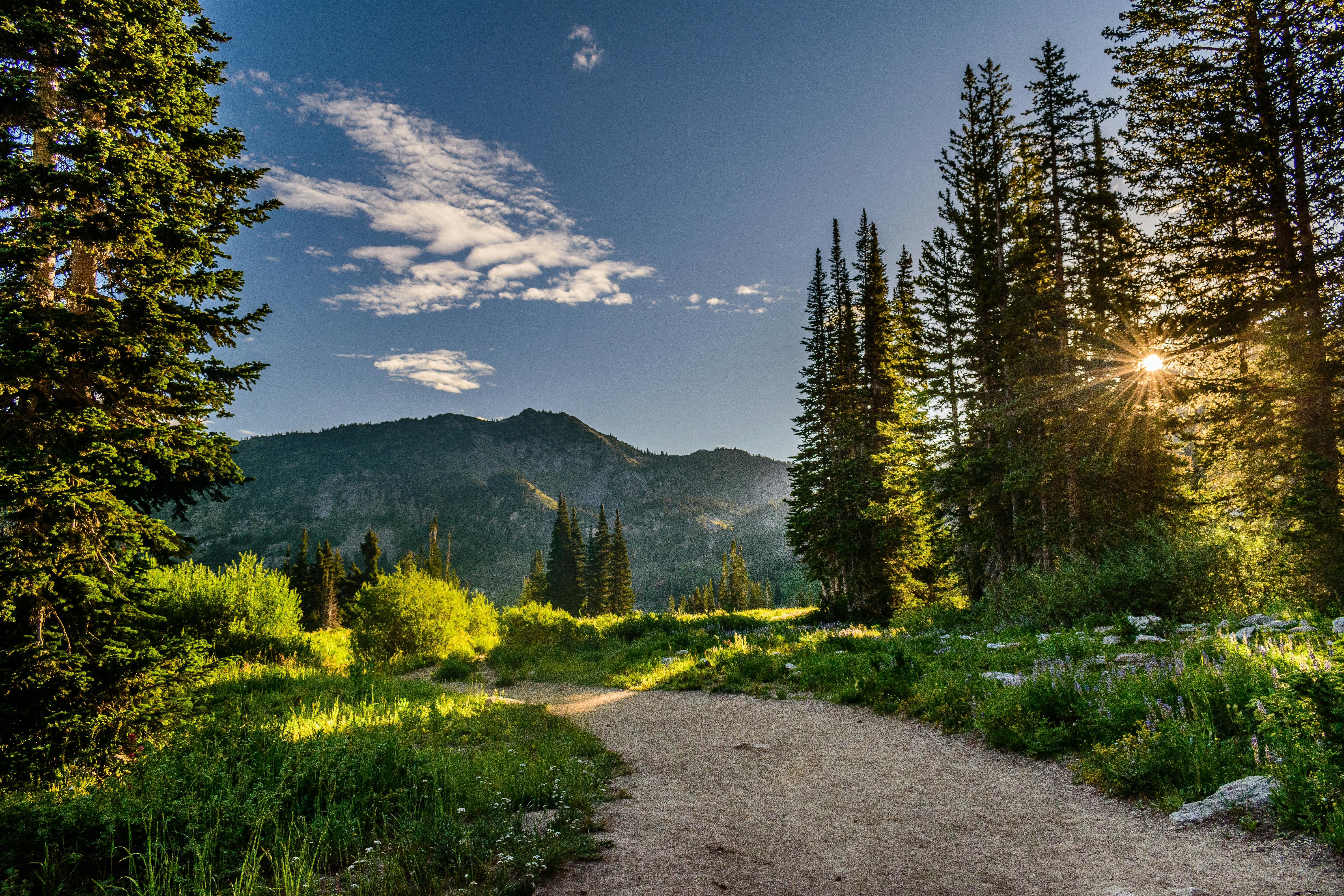 6000x4000 Park City Luxury Vacation Rentals