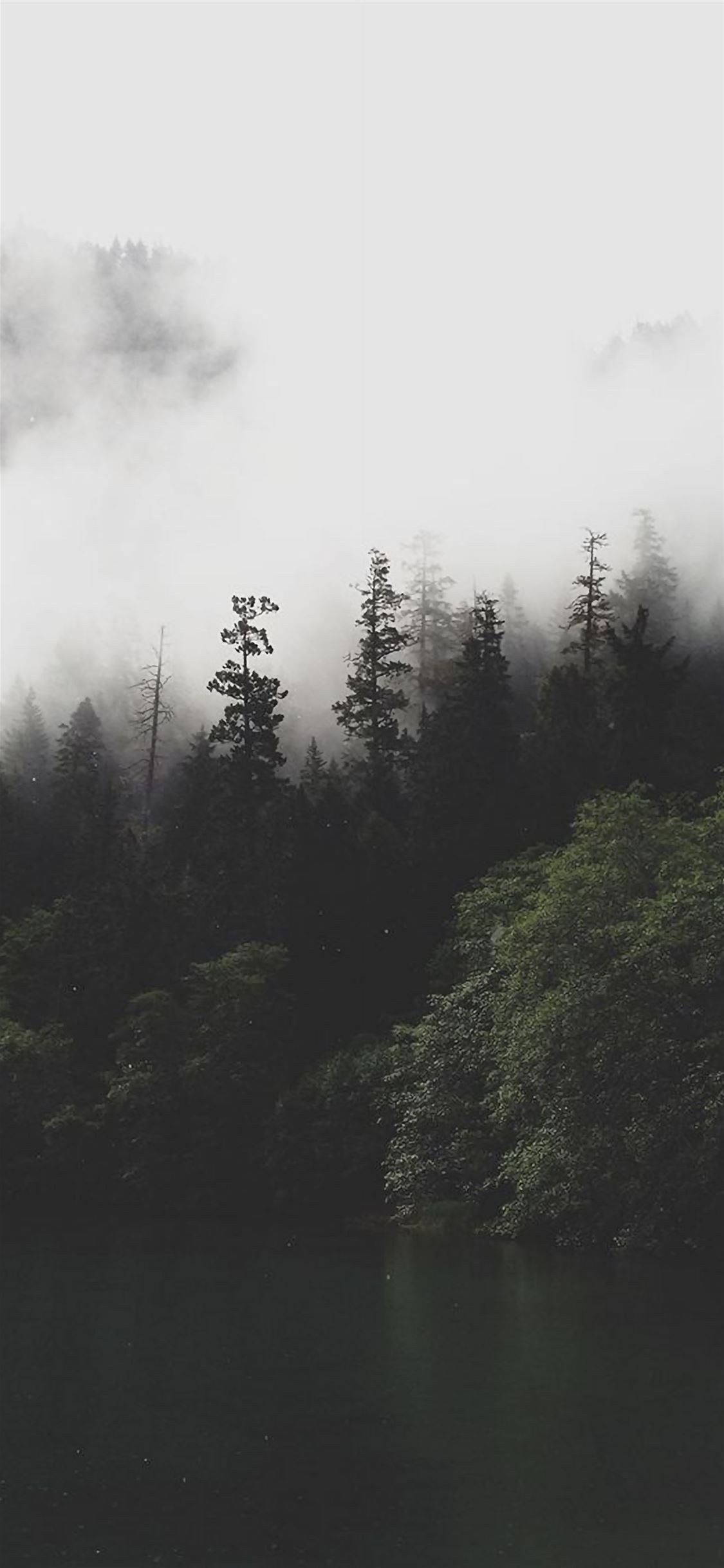 1125x2436 Mountain Forest Lake Misty iPhone Wallpaper Free Download